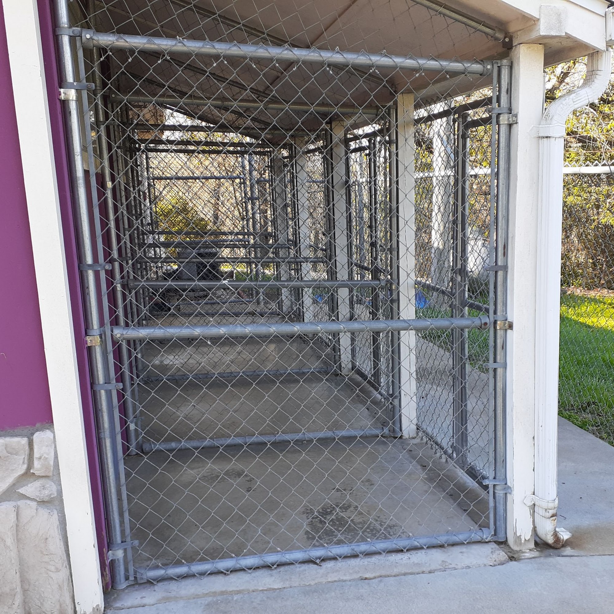 Barking Palace Pet Kennel & Training Reeds Spring
