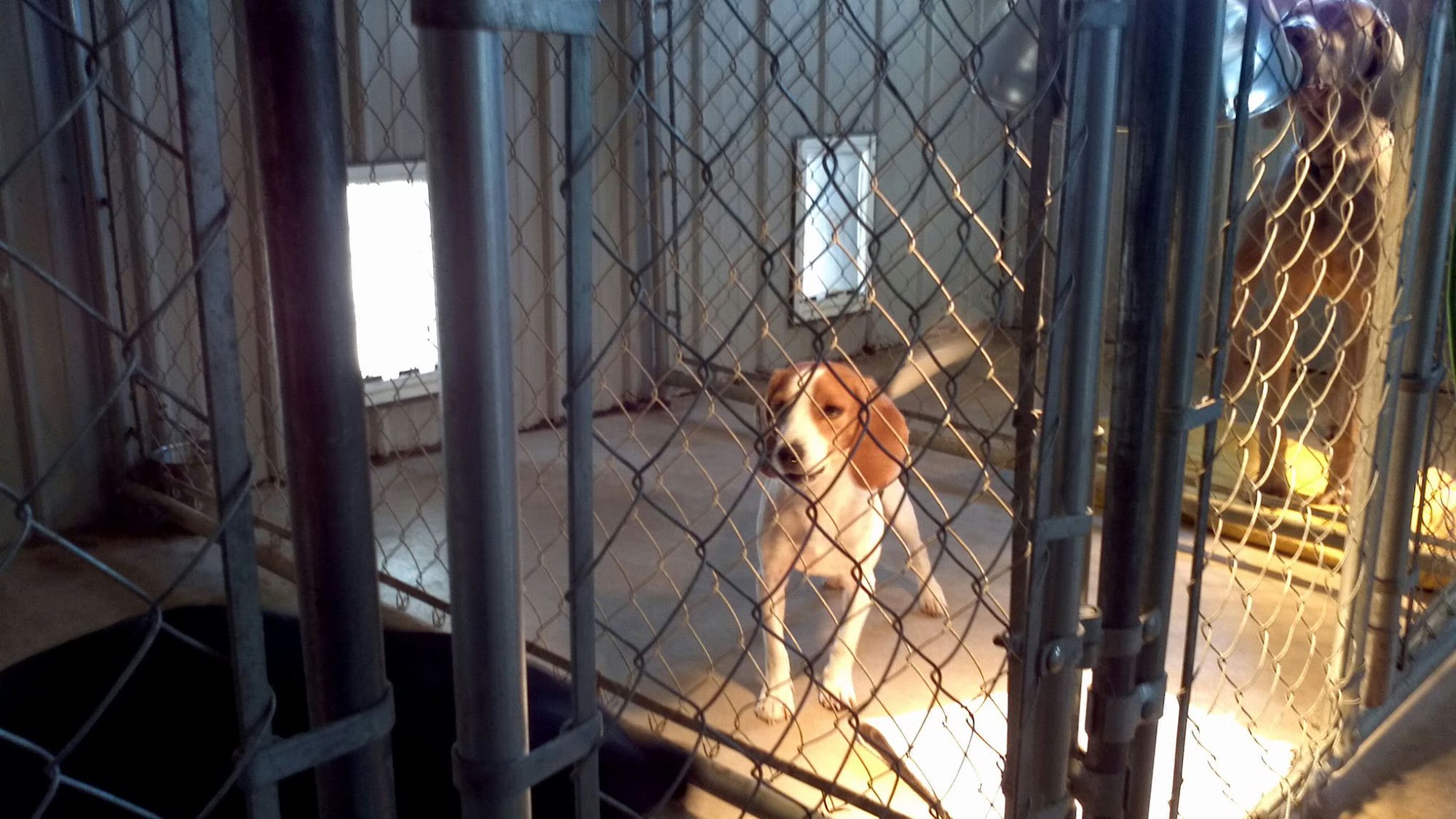 Maplehill Boarding and Grooming Richland