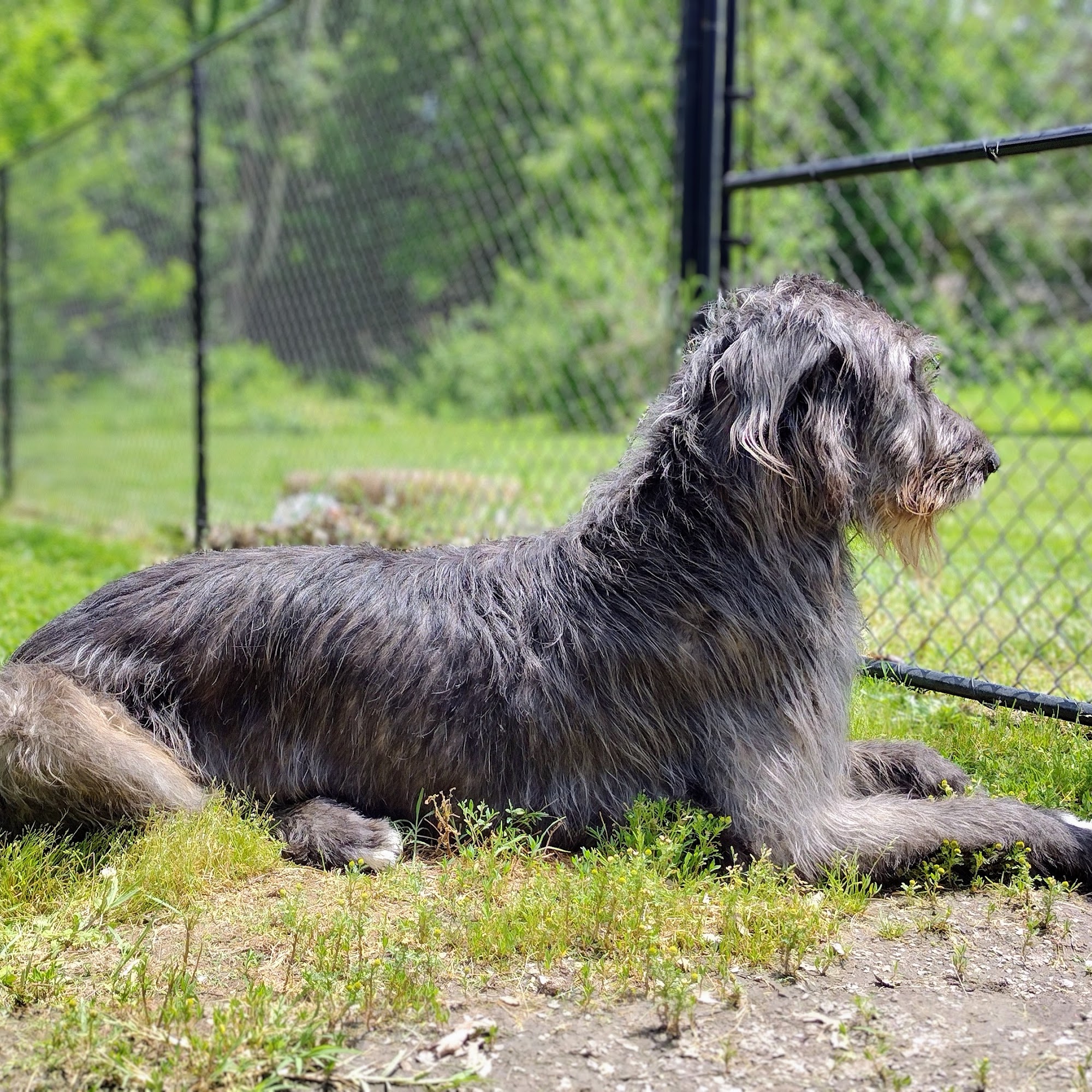 Kountry Kuts Richmond