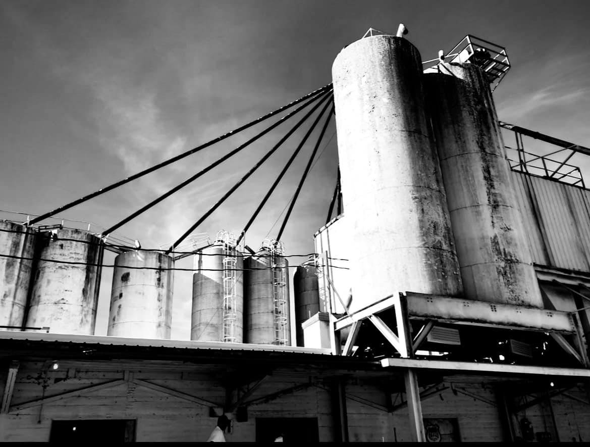 Jill Michaels Photography