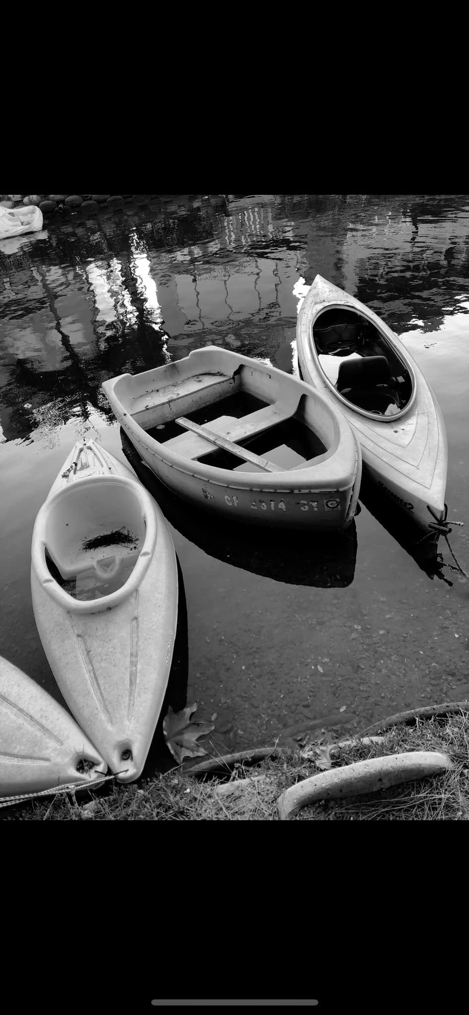 Jill Michaels Photography