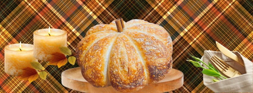 Bike Stop Cafe Saint Charles