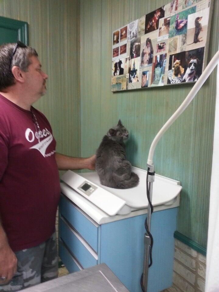 St Charles Animal Hospital: Crecelius Mike DVM