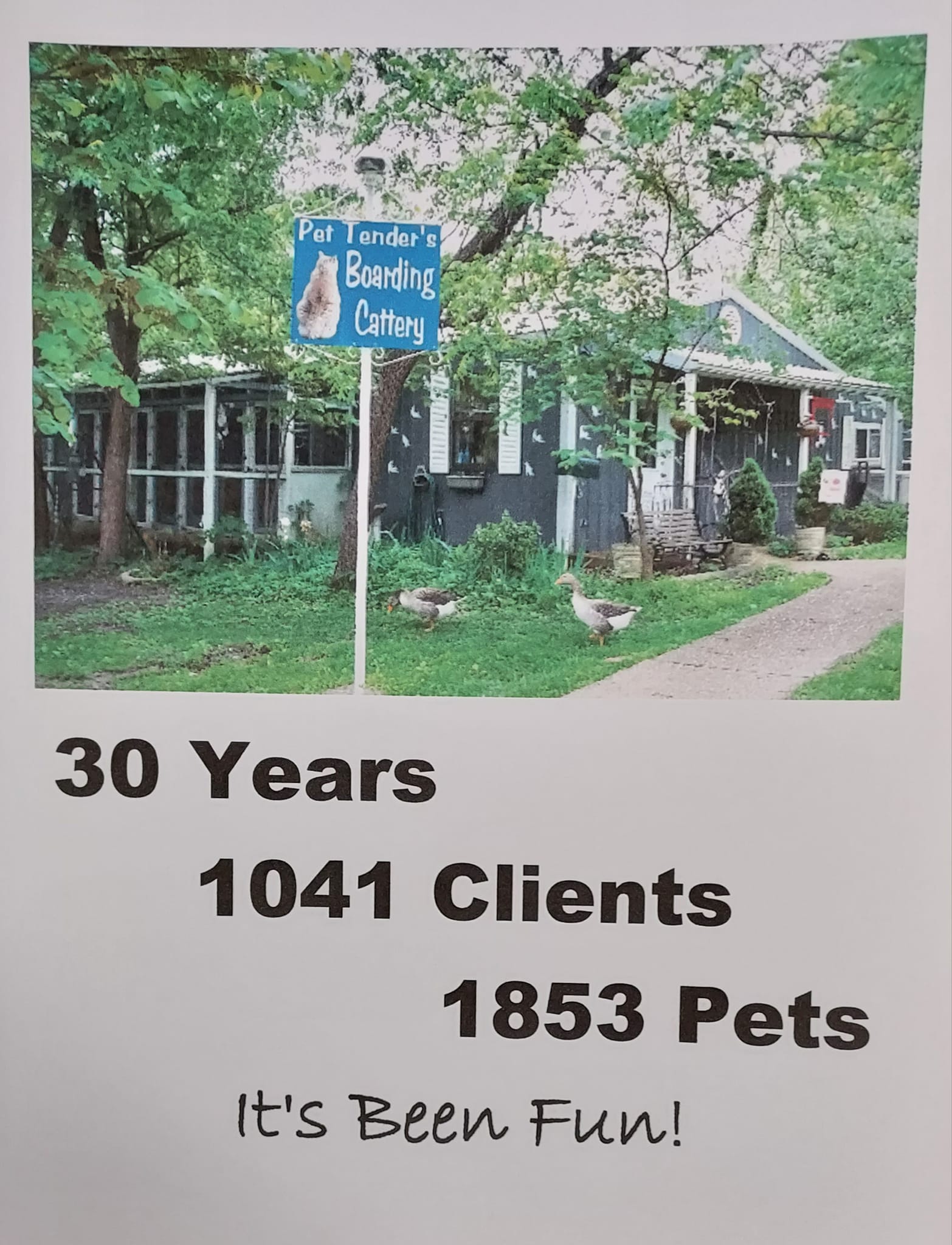 Pet Tender's Boarding Cattery Saint Clair