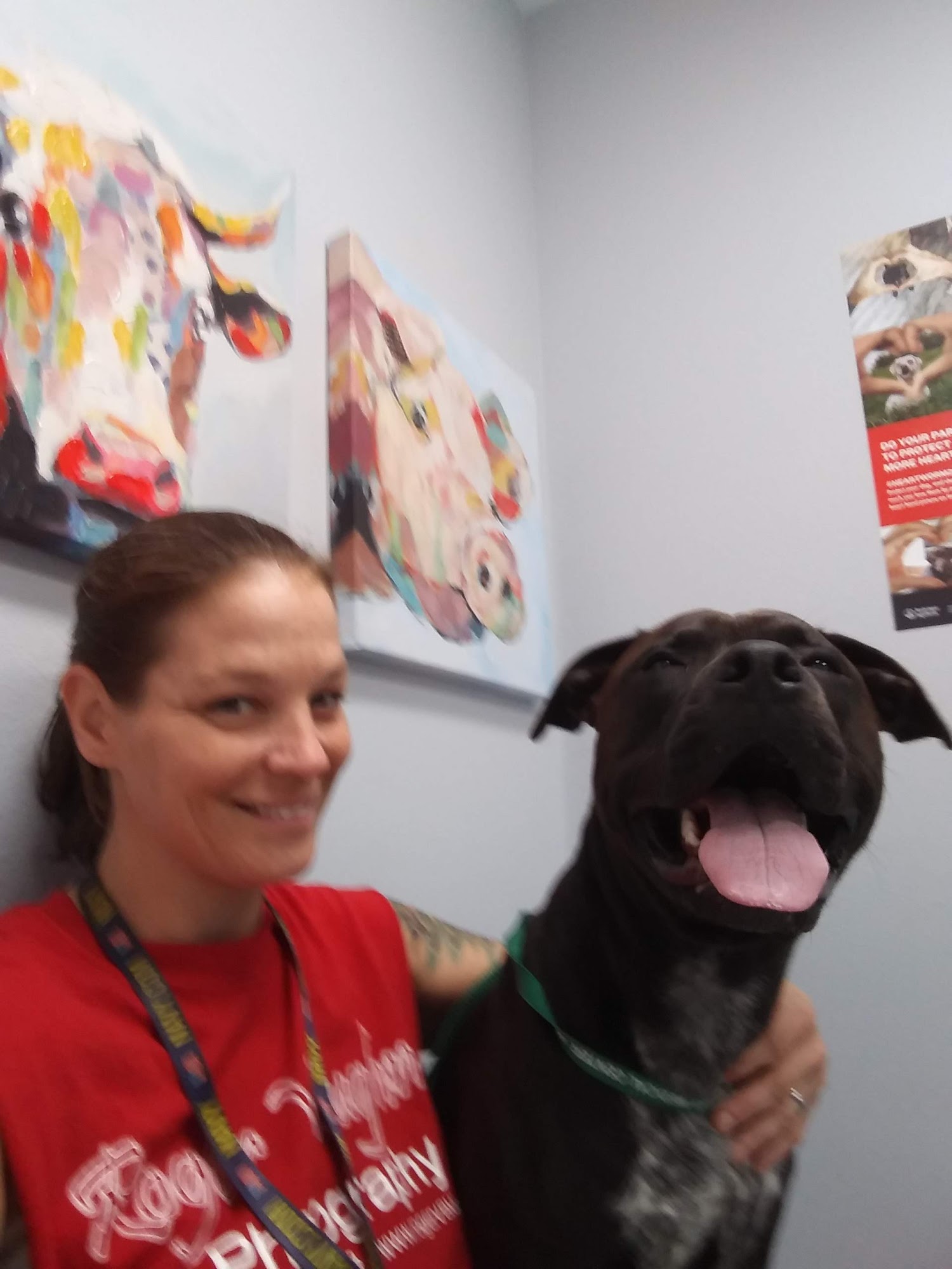 St James Veterinary Medical Center Saint James