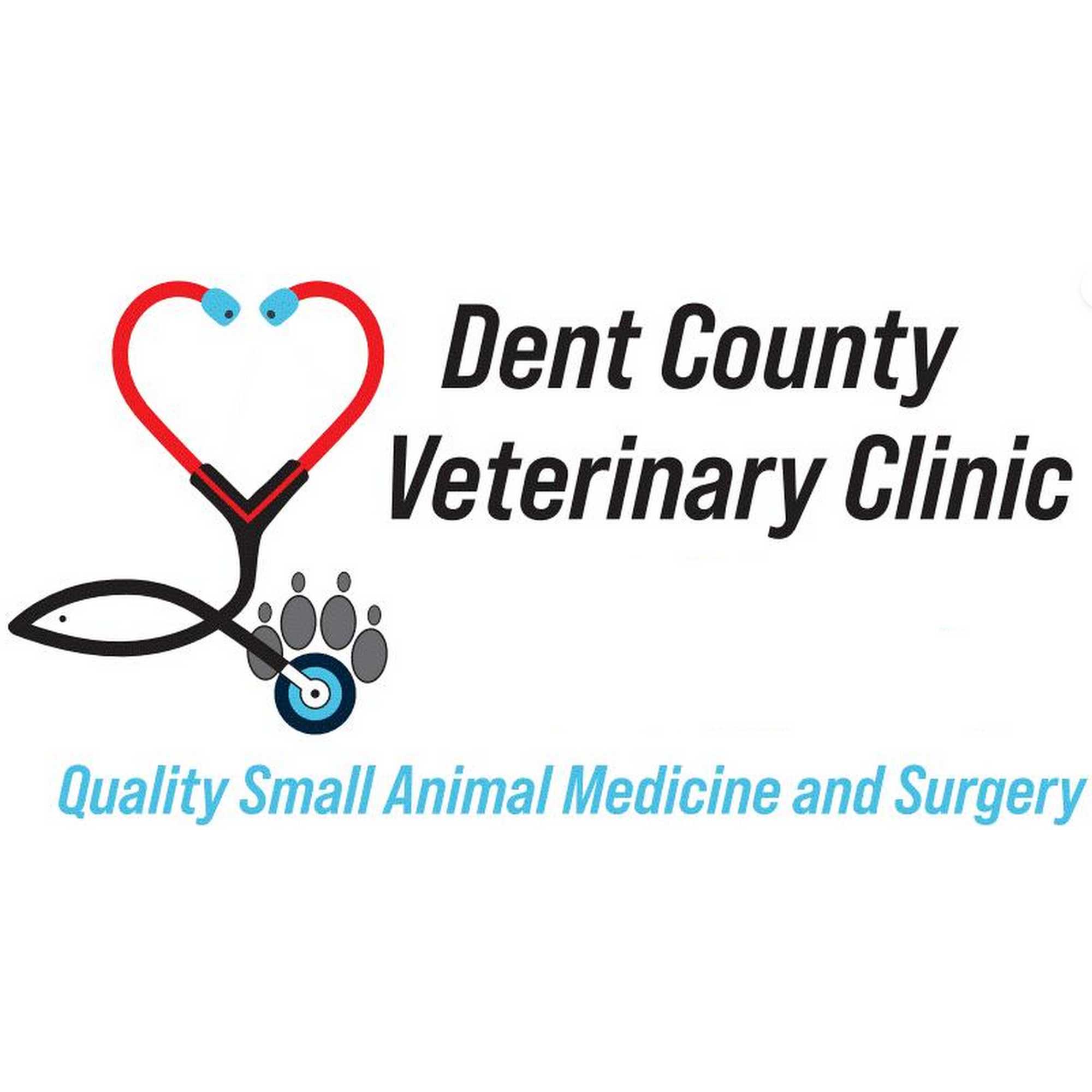 Dent County Veterinary Clinic Salem