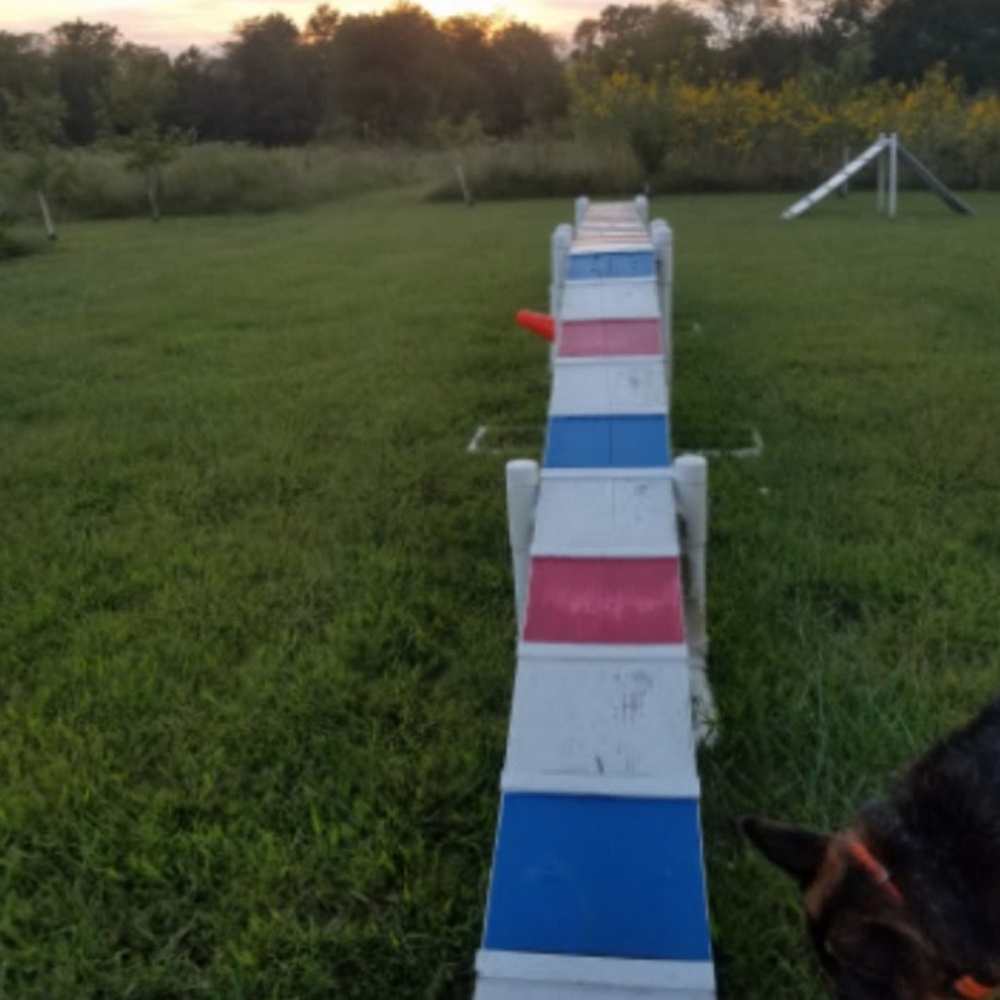 Pettis County K9 Academy Sedalia