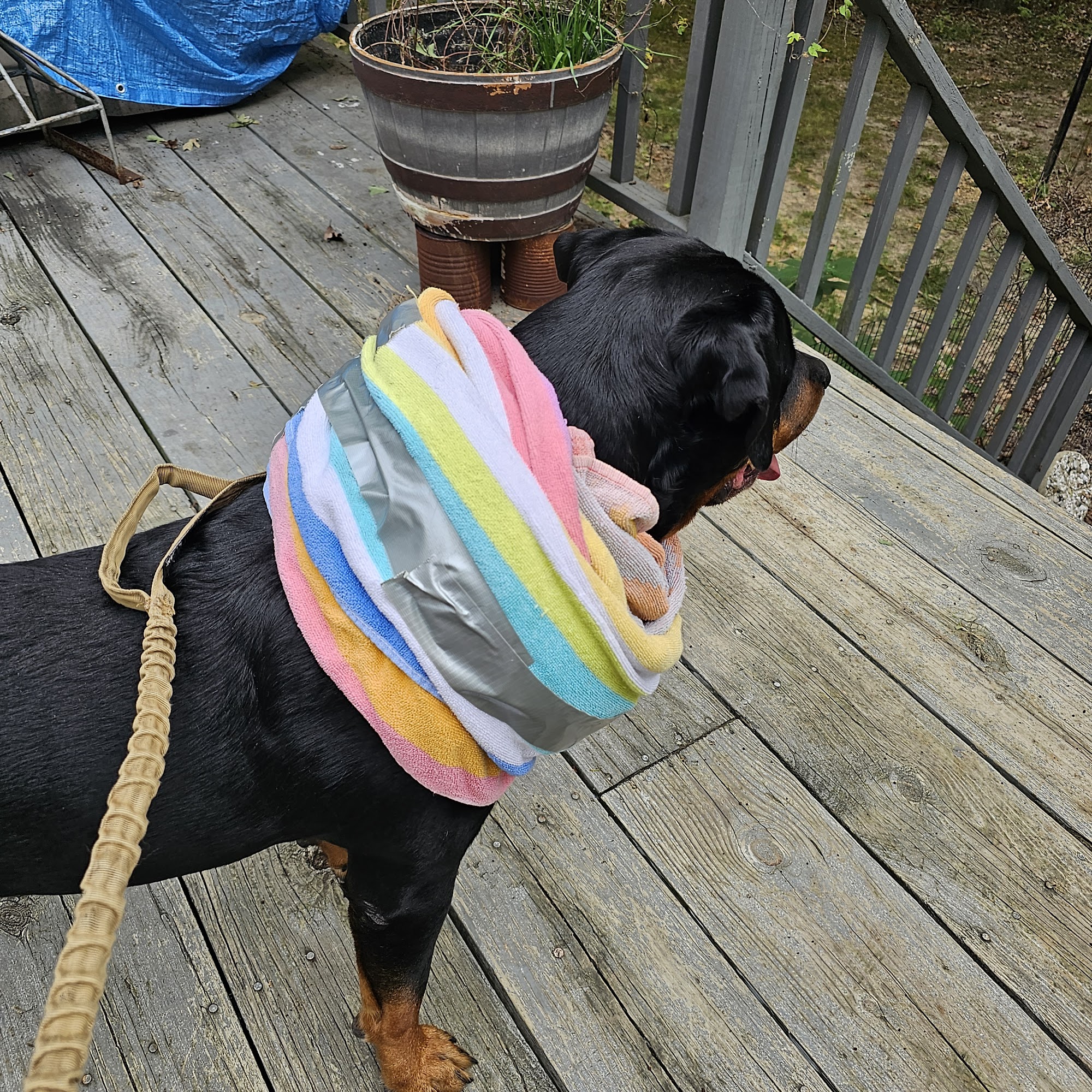 Marshfield Veterinary Clinic Seymour