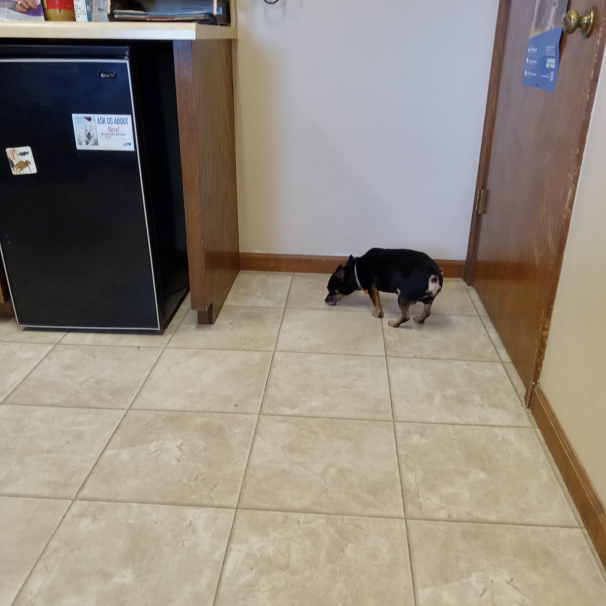 Northeast Veterinary Services Inc