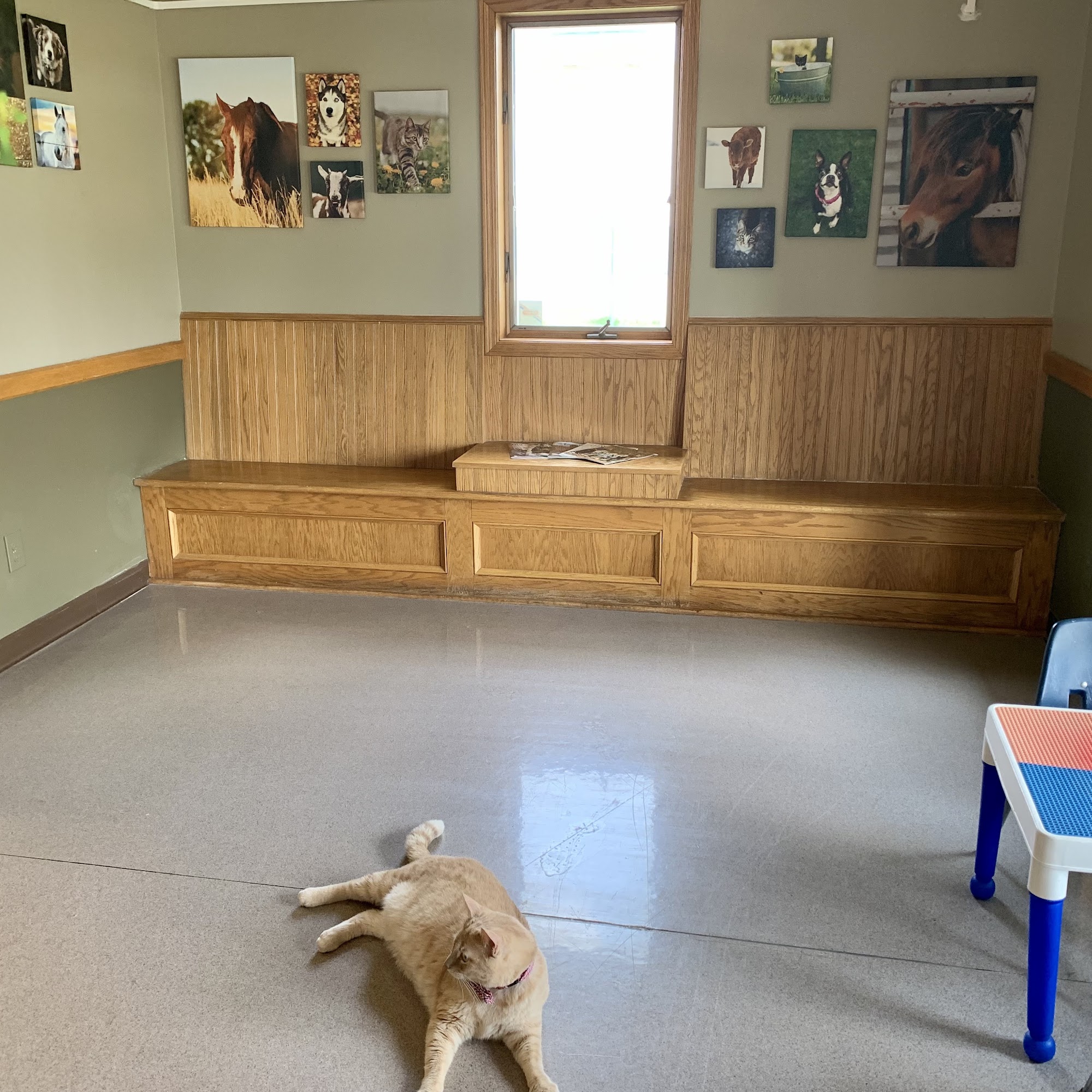 Smithville Animal Hospital Smithville