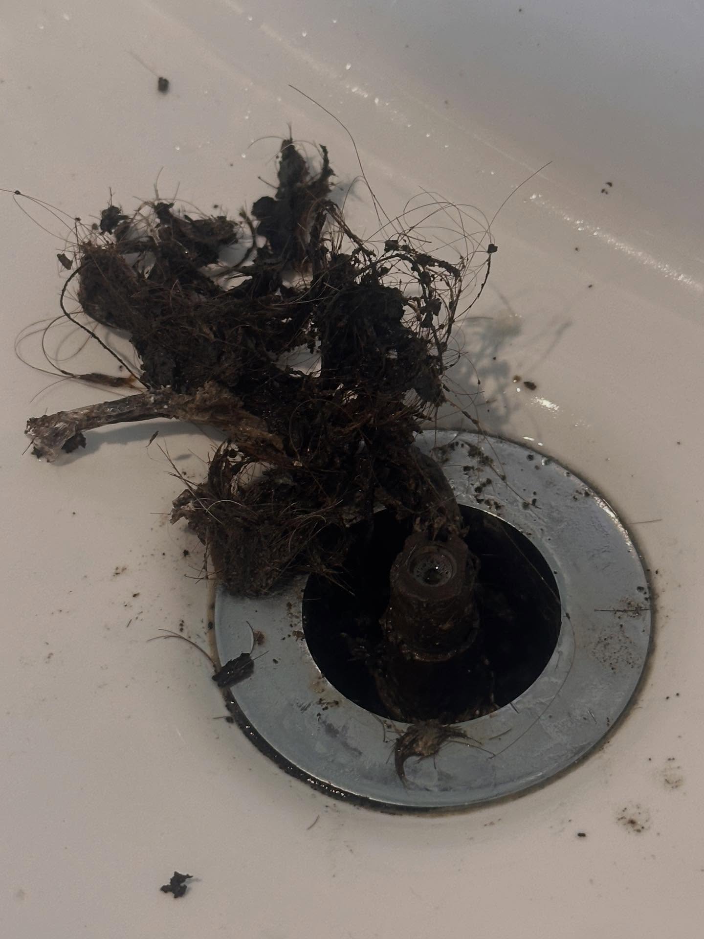 T's Cleaning Service 2 Sherry Ct, Smithville Missouri 64089