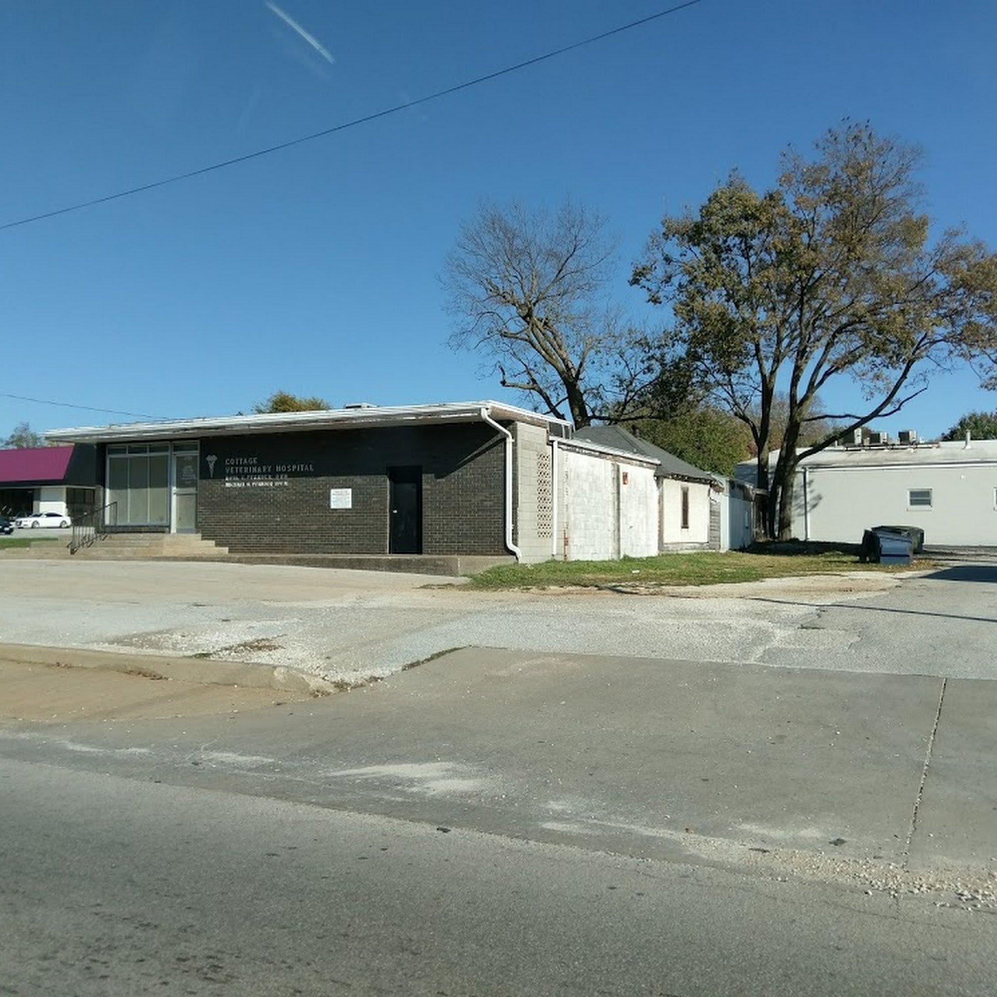 Cottage Veterinary Hospital Springfield