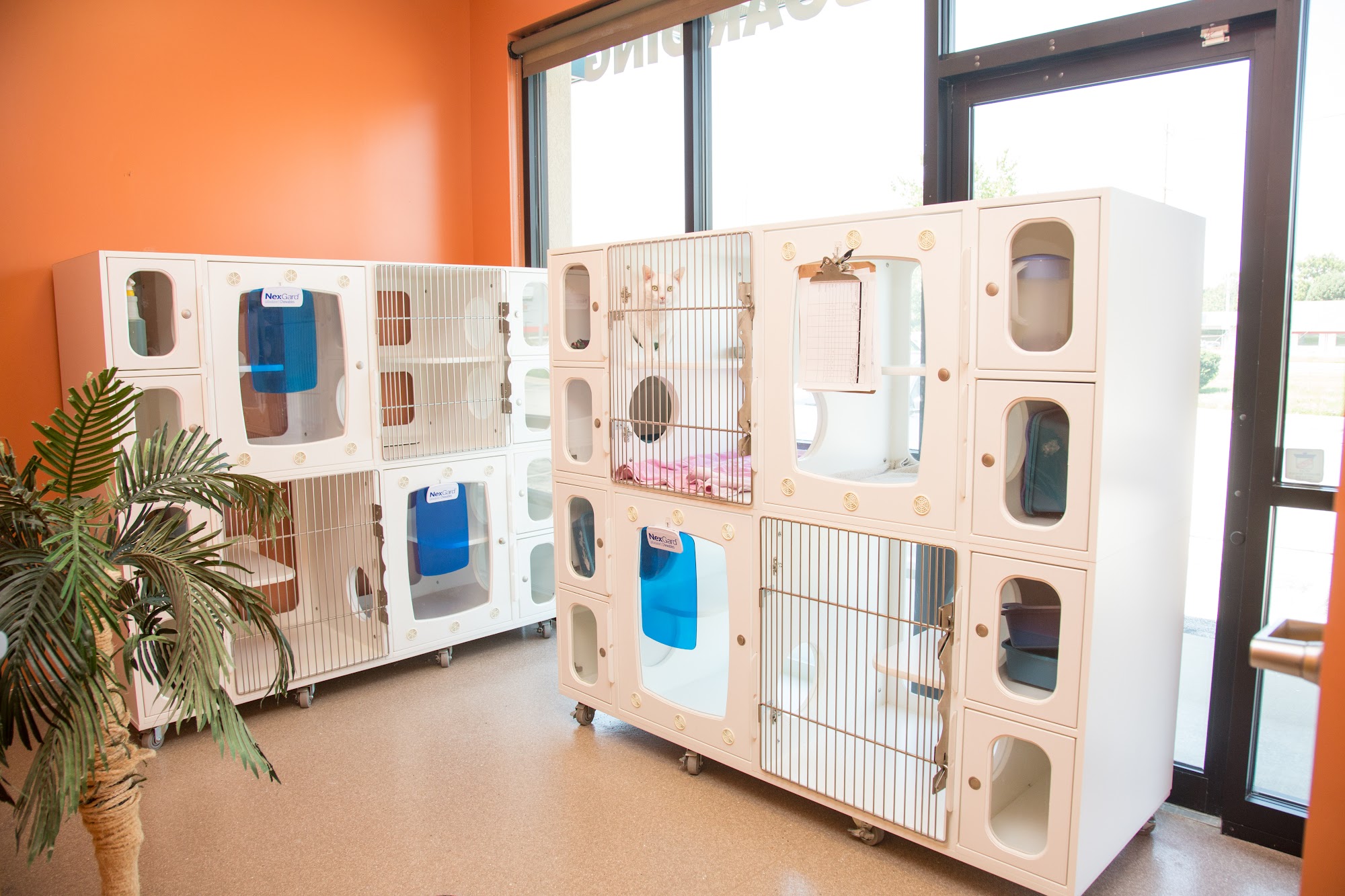 Healing Paws Veterinary Clinic Springfield