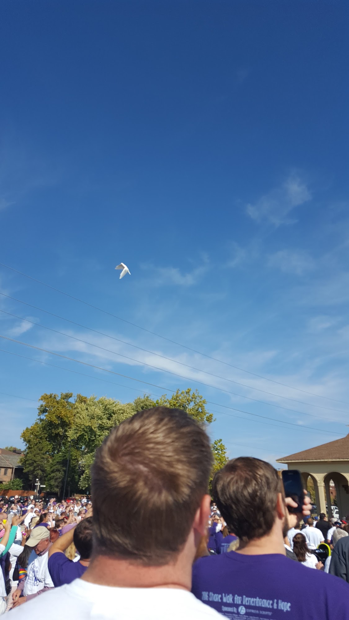 Excel Driving School