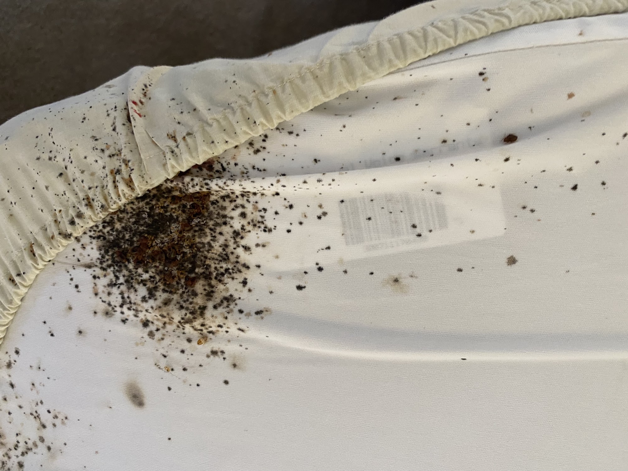 Unique Pest and Lawn