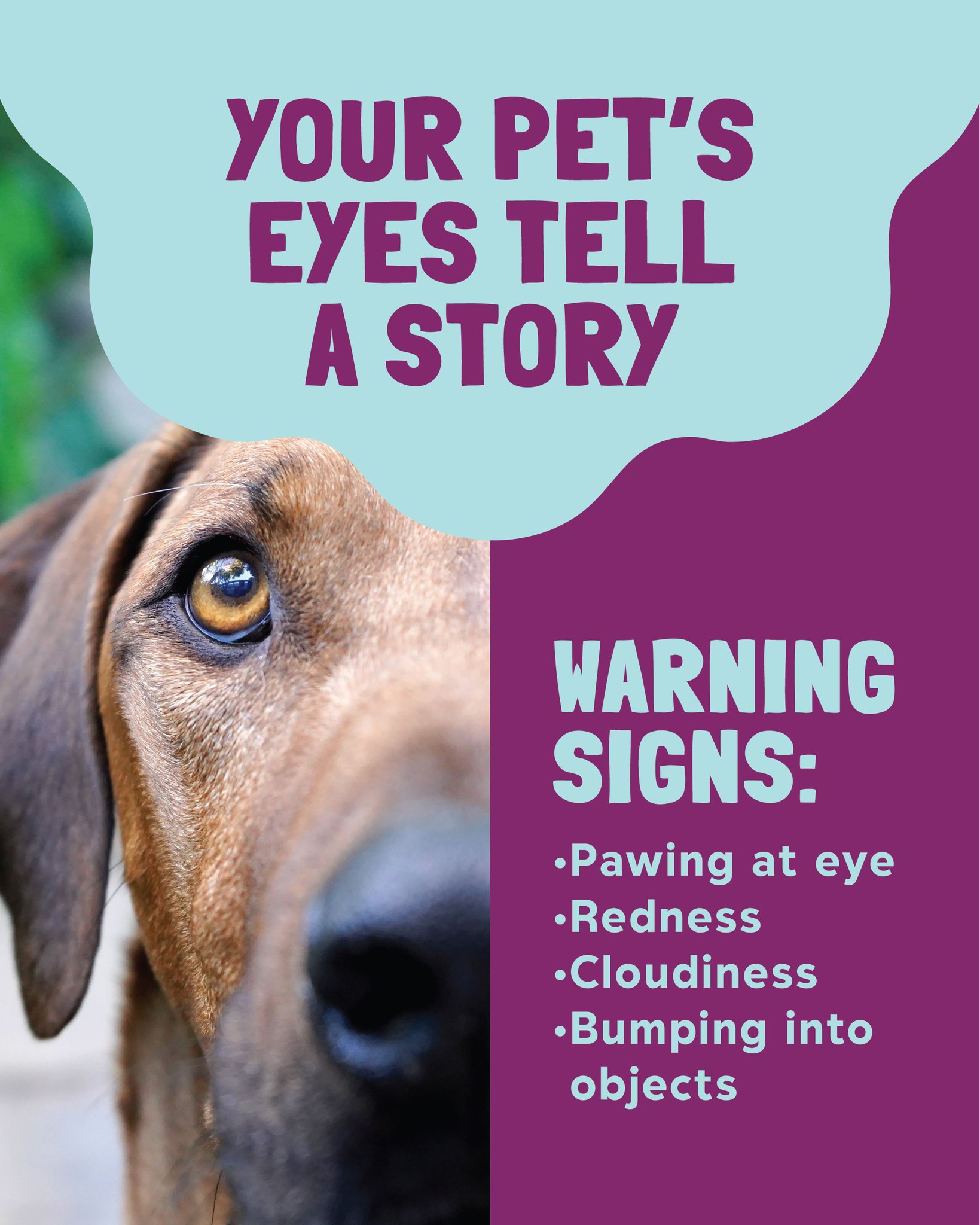 Bogey Hills Animal Hospital: Cross Melanie C DVM St. Charles