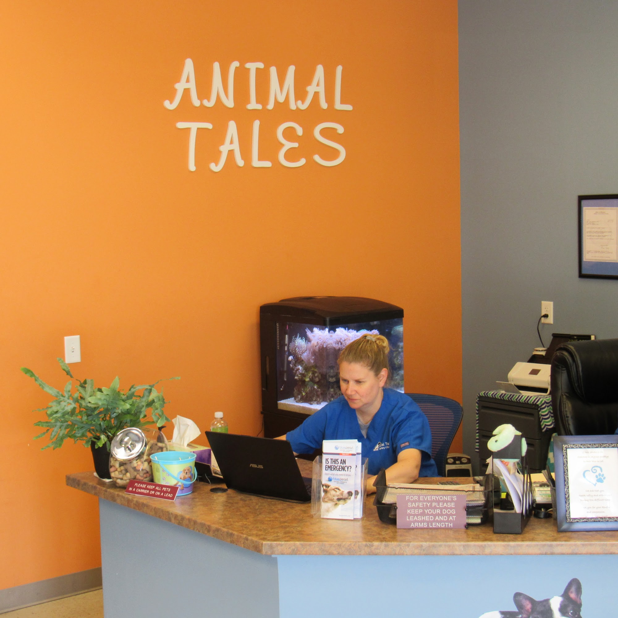 Animal Tales Veterinary Clinic St. Joseph