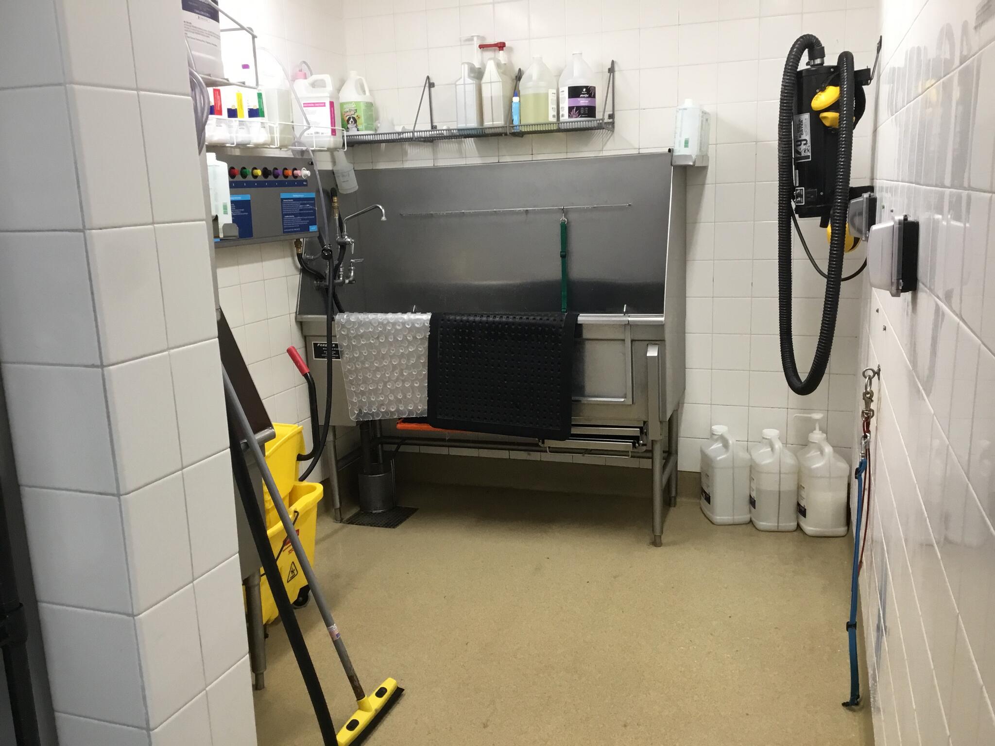 Petco Dog Training St. Louis