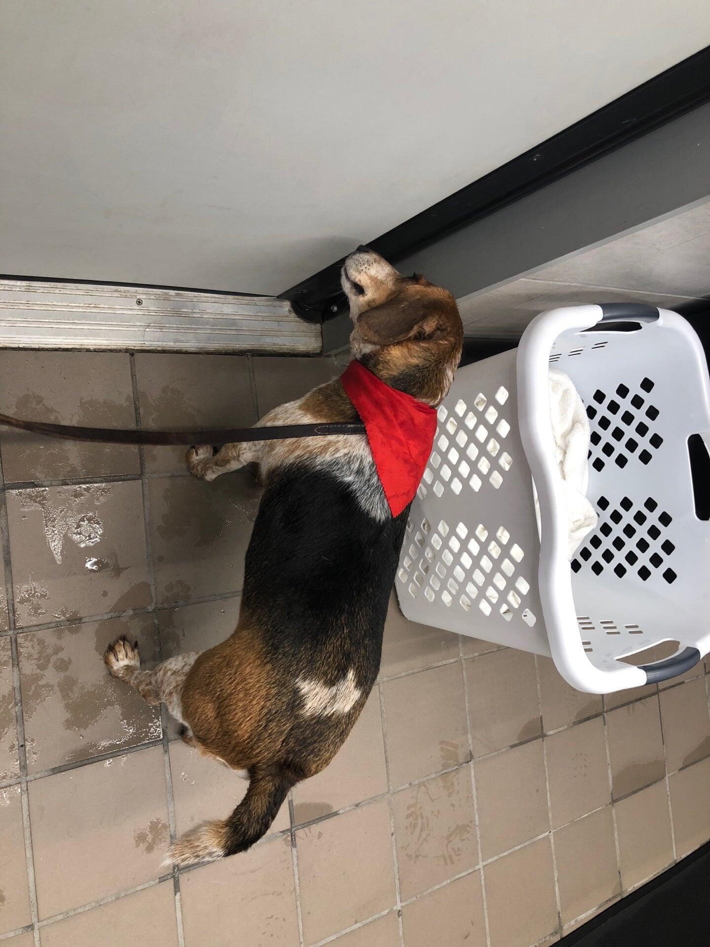 Pet Supplies Plus Oakville St. Louis