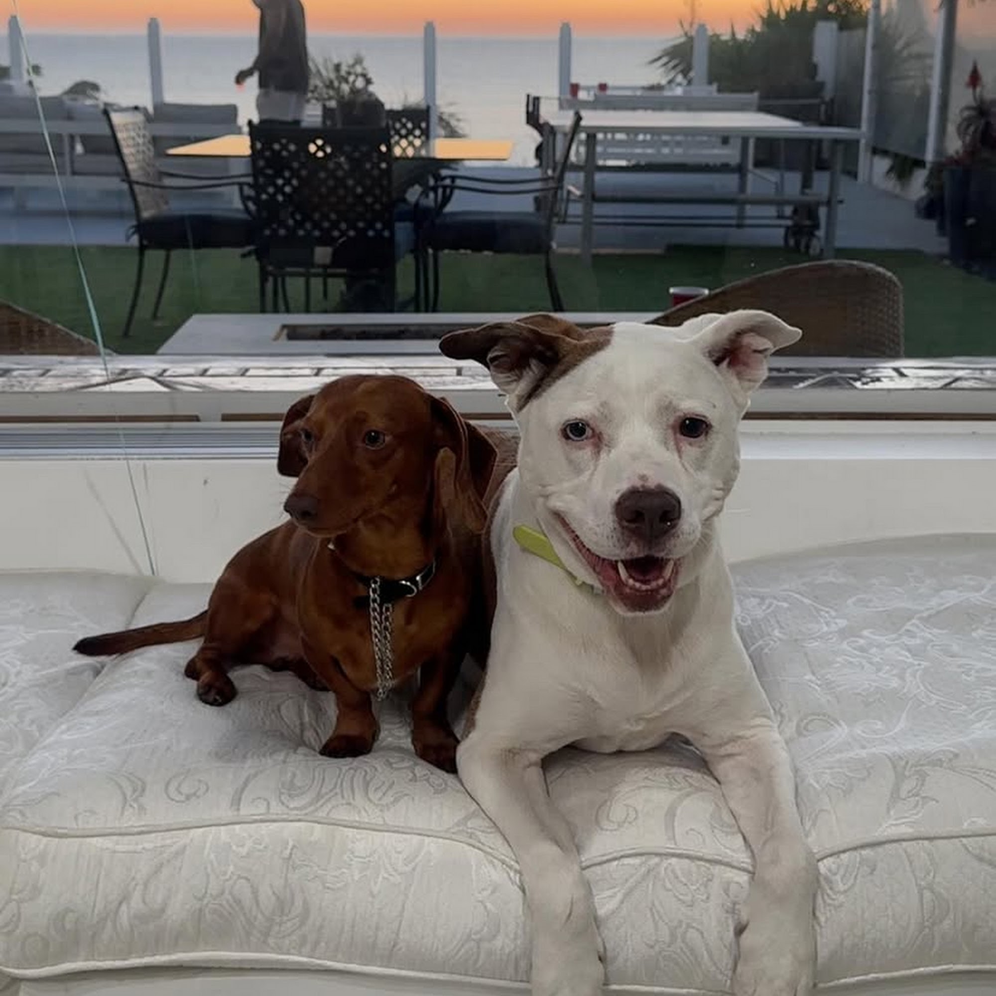 Cricket Wireless Authorized Retailer