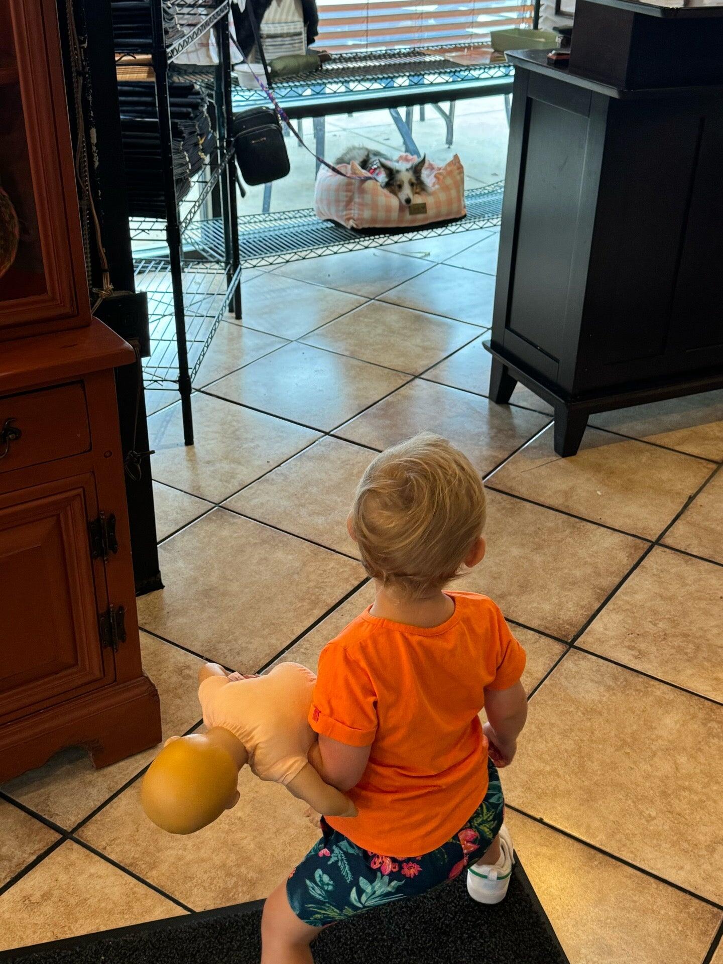 Photo credit: nextdoor