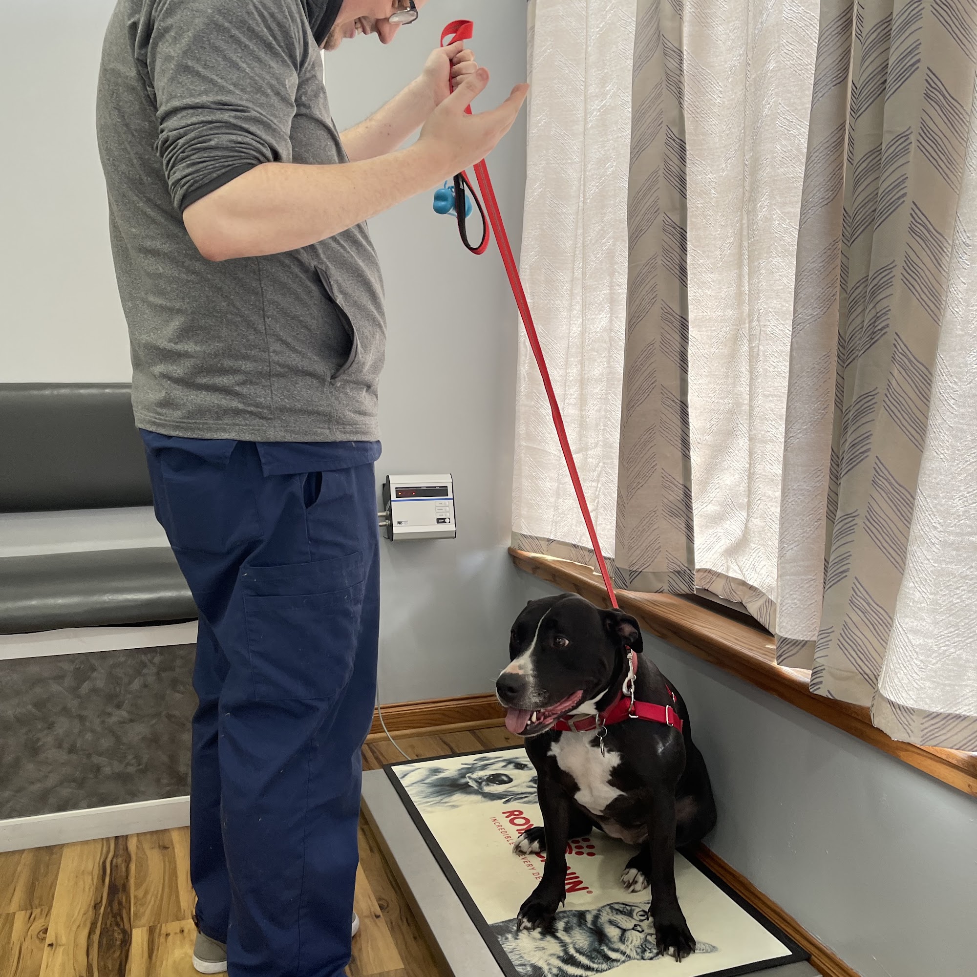 Central West End Veterinary Hospital & Urgent Care St. Louis