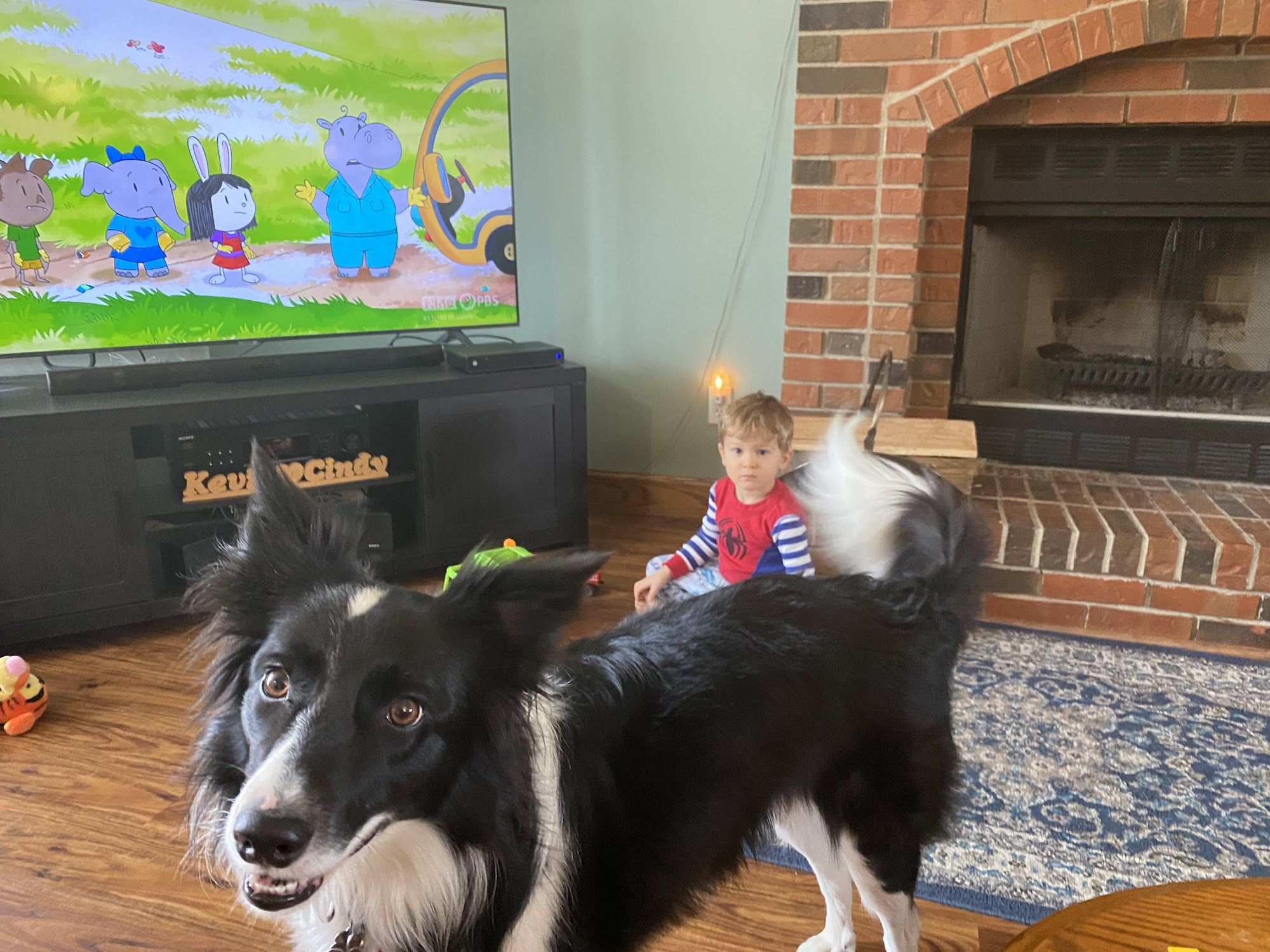 Affton Veterinary Clinic St. Louis