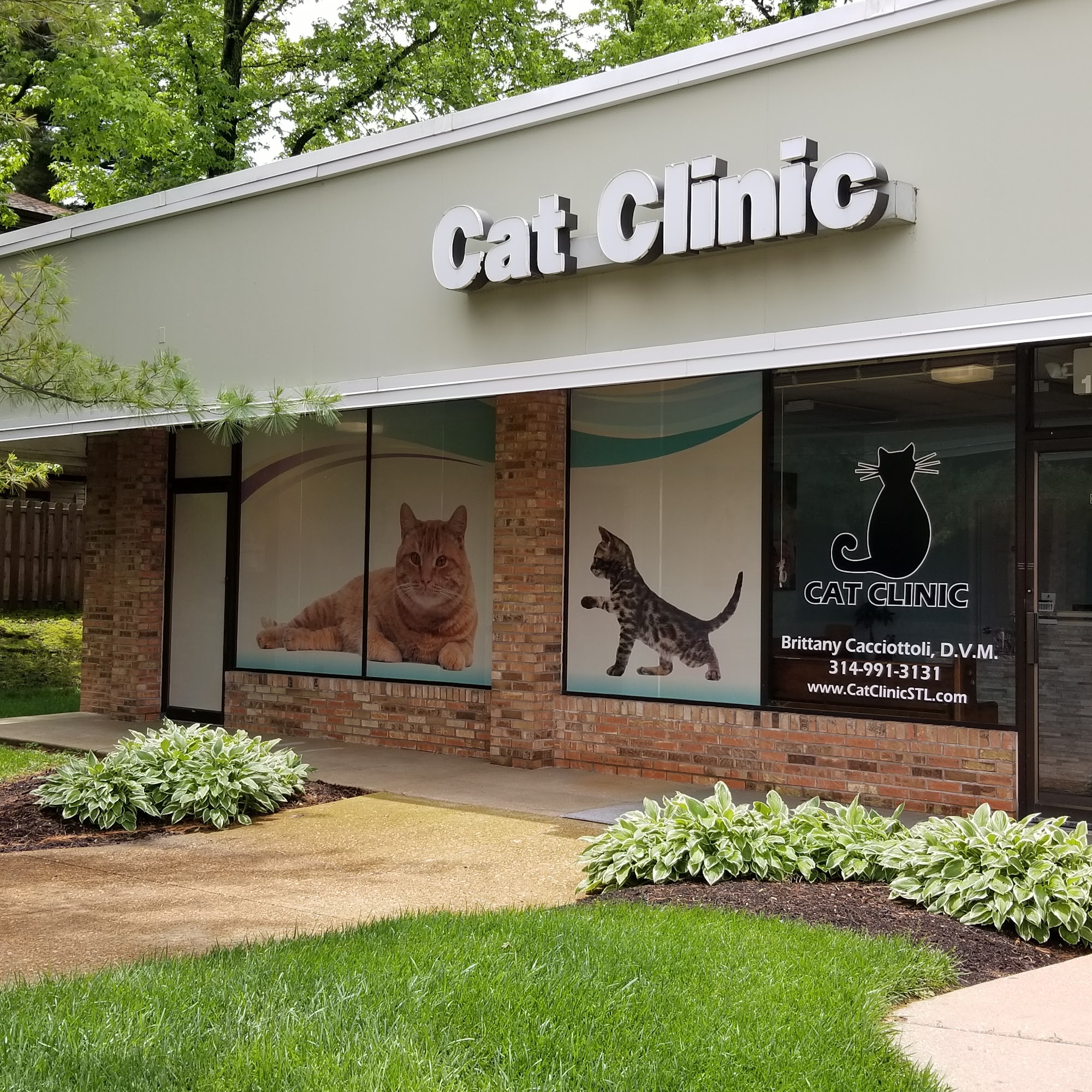 Cat Clinic St. Louis