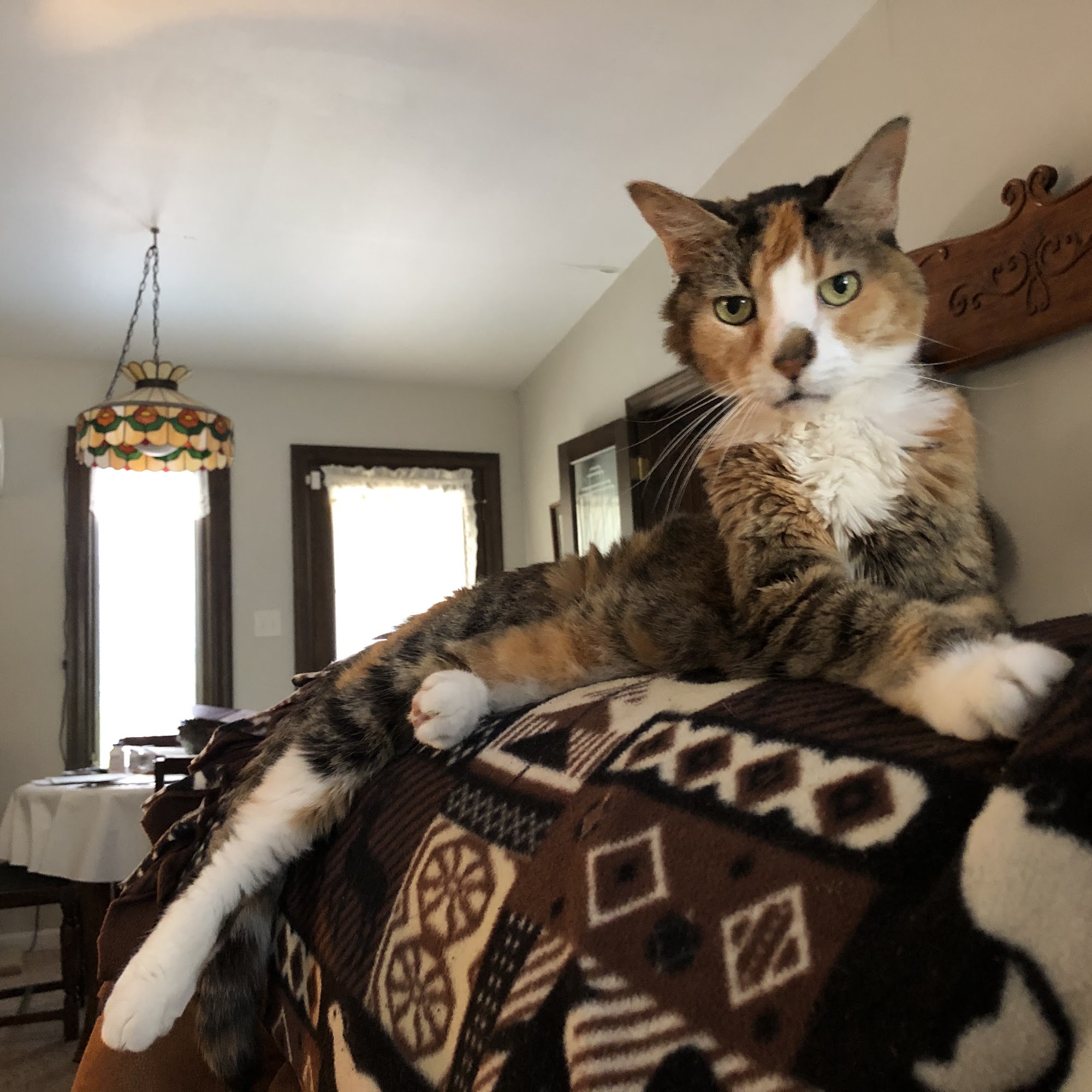 Grantview Animal Hospital St. Louis