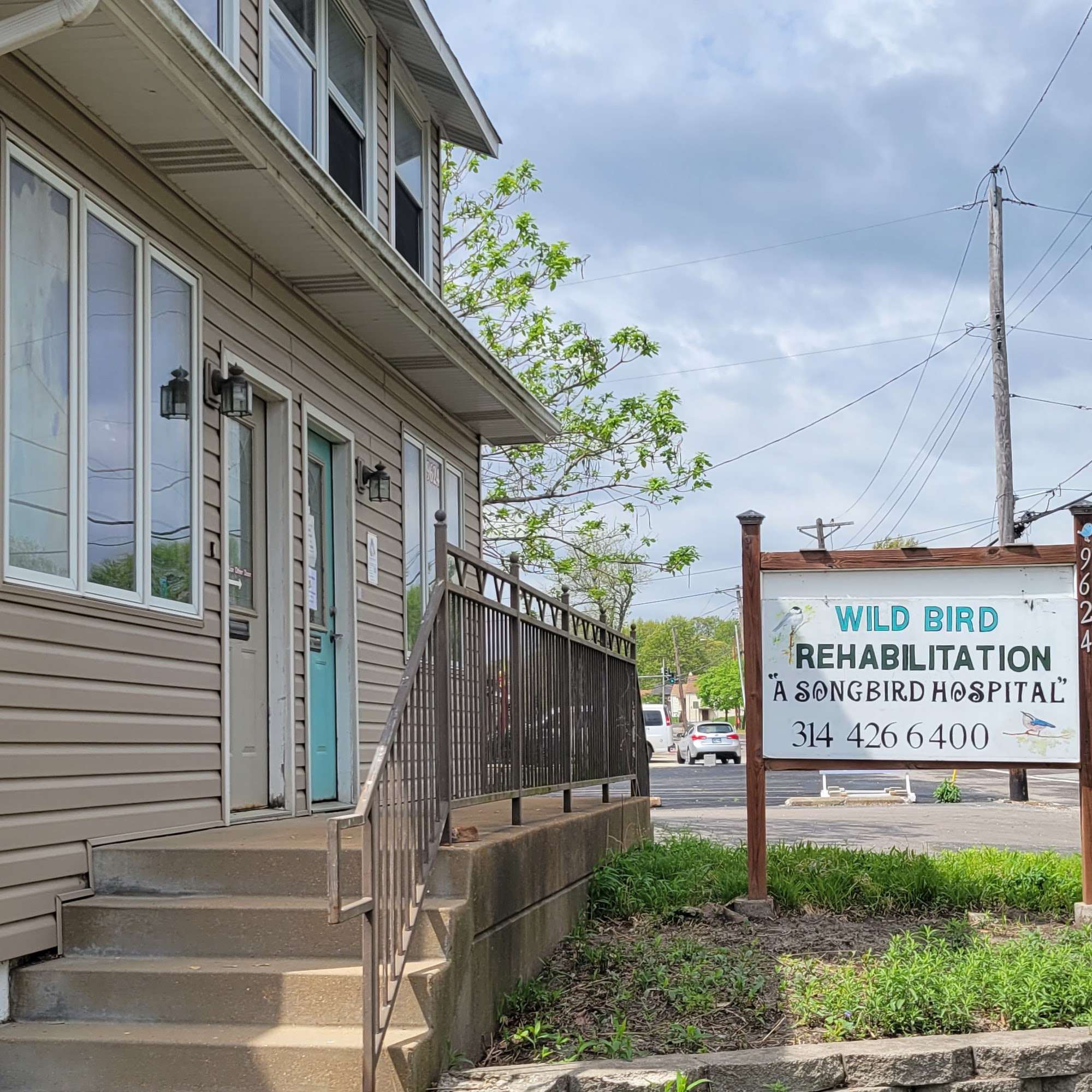 Wild Bird Rehabilitation St. Louis