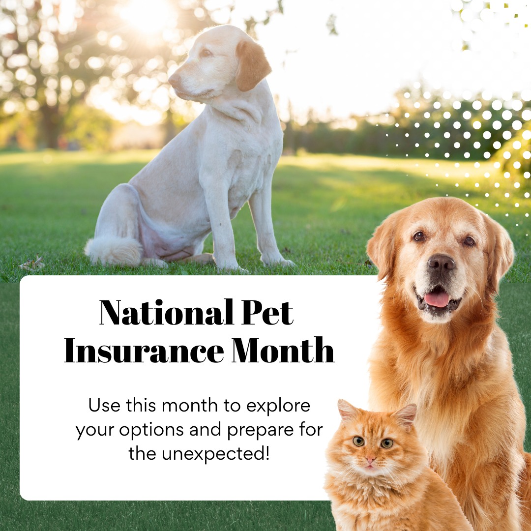 Creve Coeur Animal Hospital St. Louis