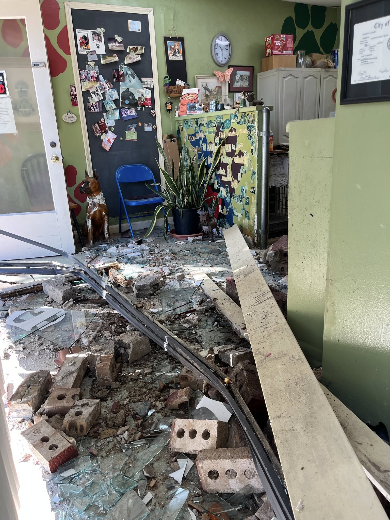 Mary's Pet Grooming St. Louis