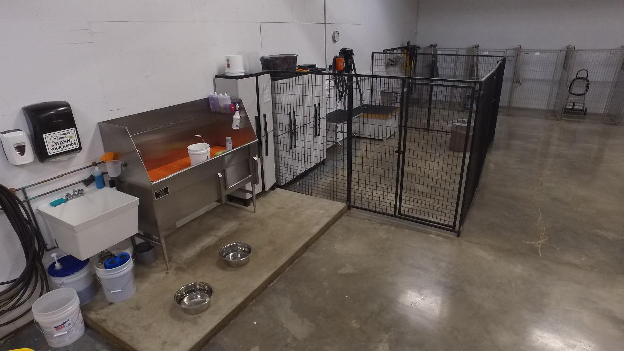 Happy Dog Spot St. Louis