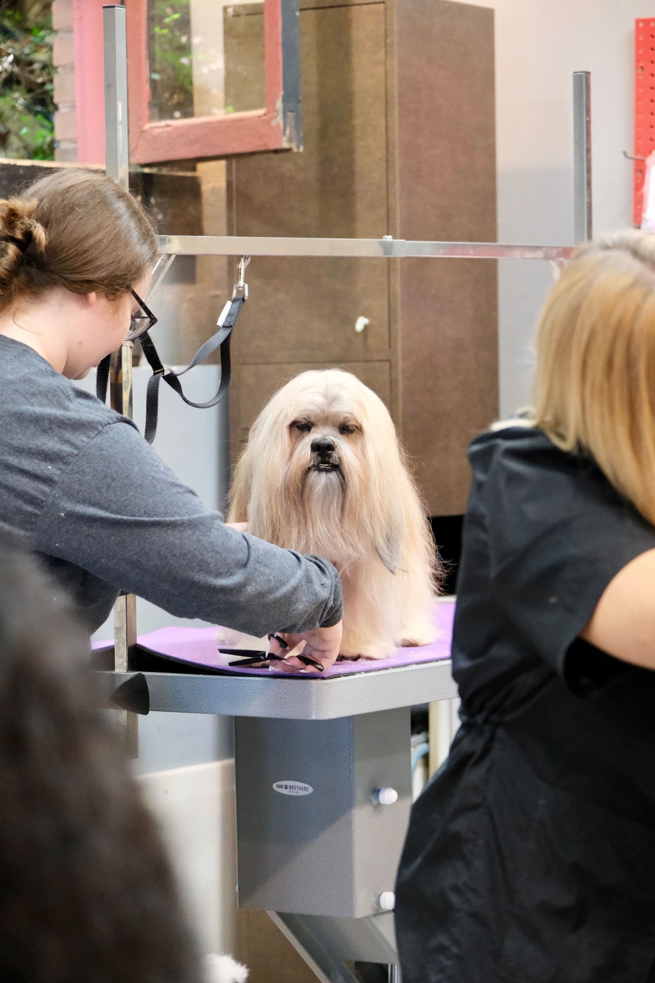 Amanda's Pet Grooming Inc. St. Louis