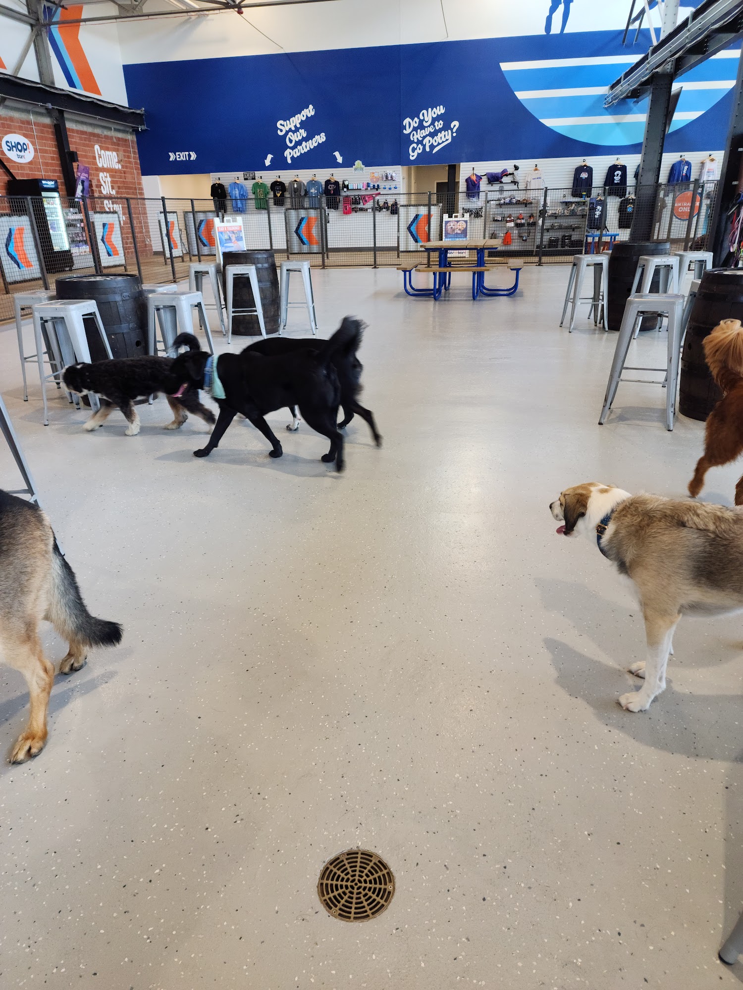 Bar K St. Louis St. Louis