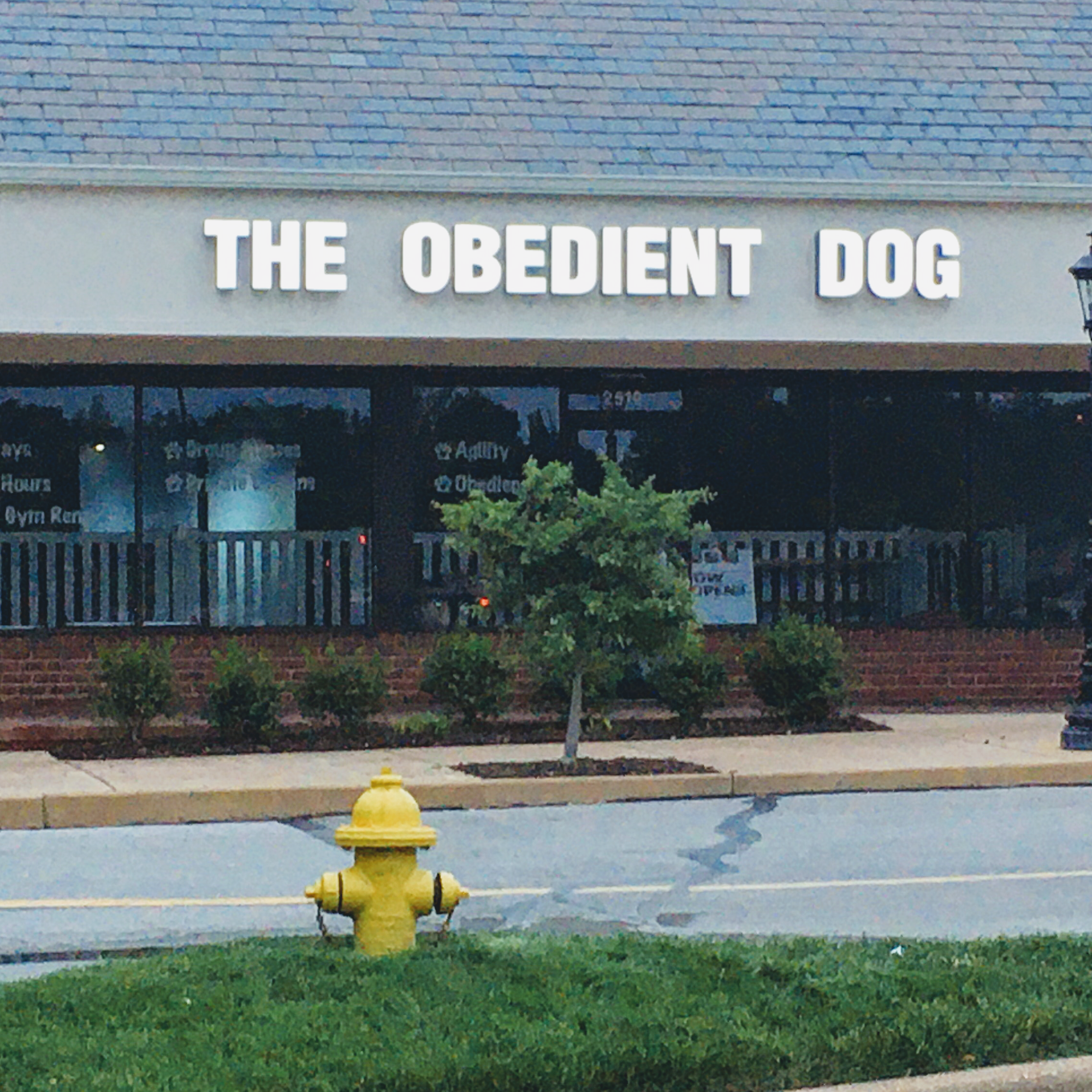 The Obedient Dog LLC St. Louis