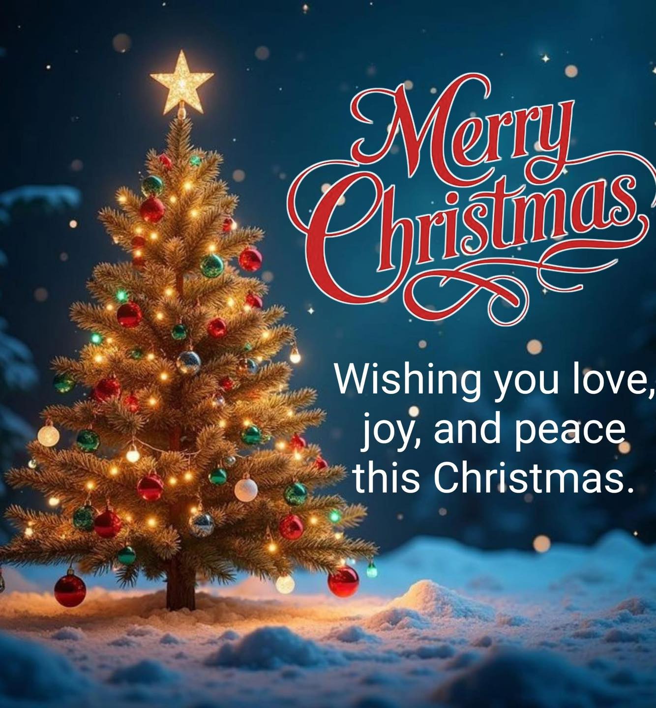 Physical & Sports Therapy Services