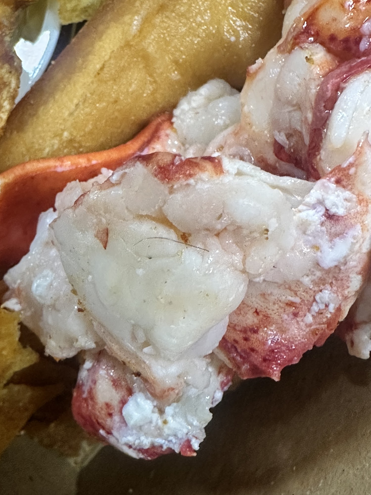 Peacemaker Lobster & Crab