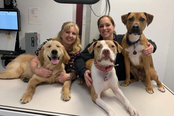 Cave Springs Pet Hospital St. Peters