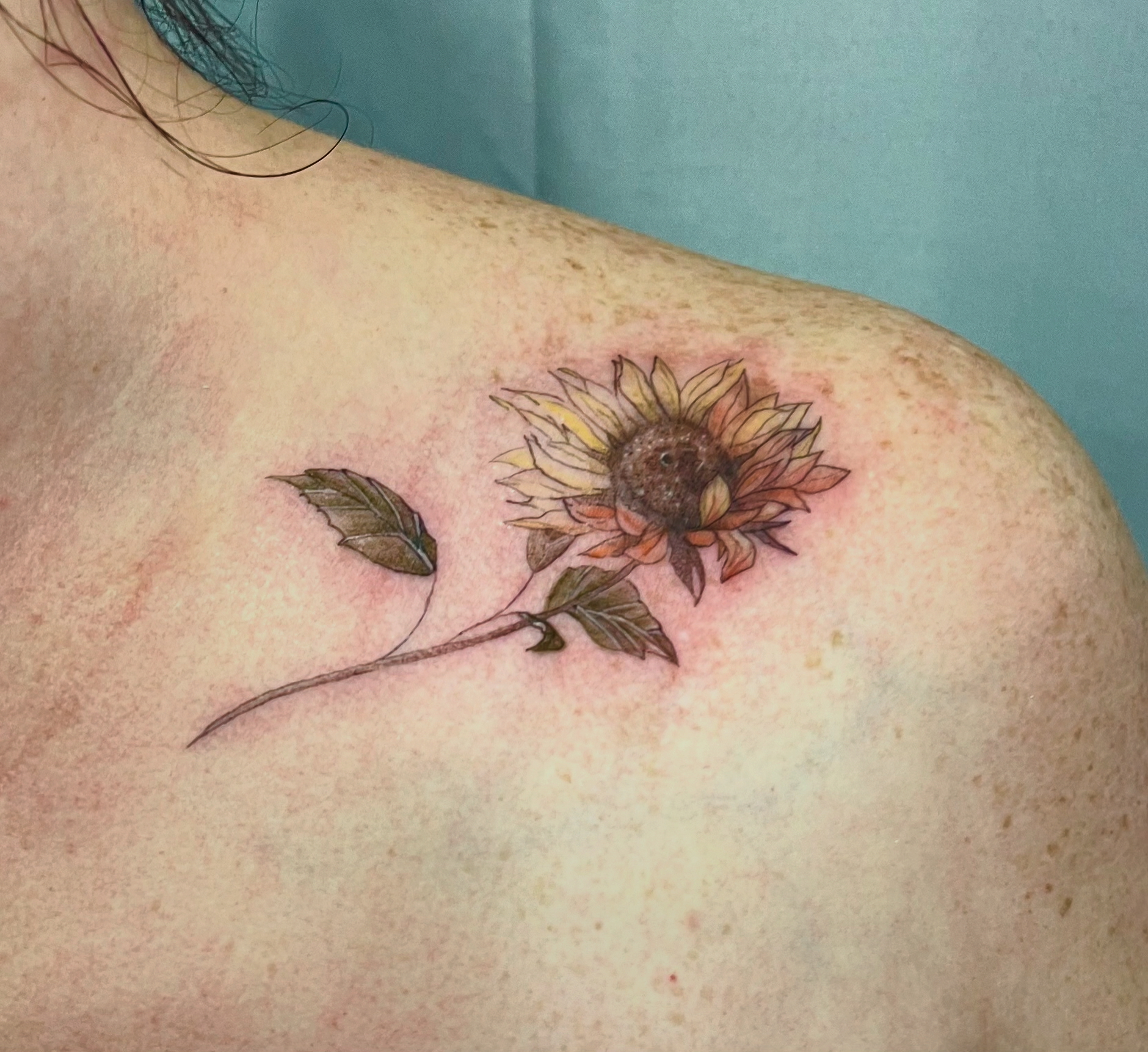 Permanent Makeup & Tattoo Avenue 18