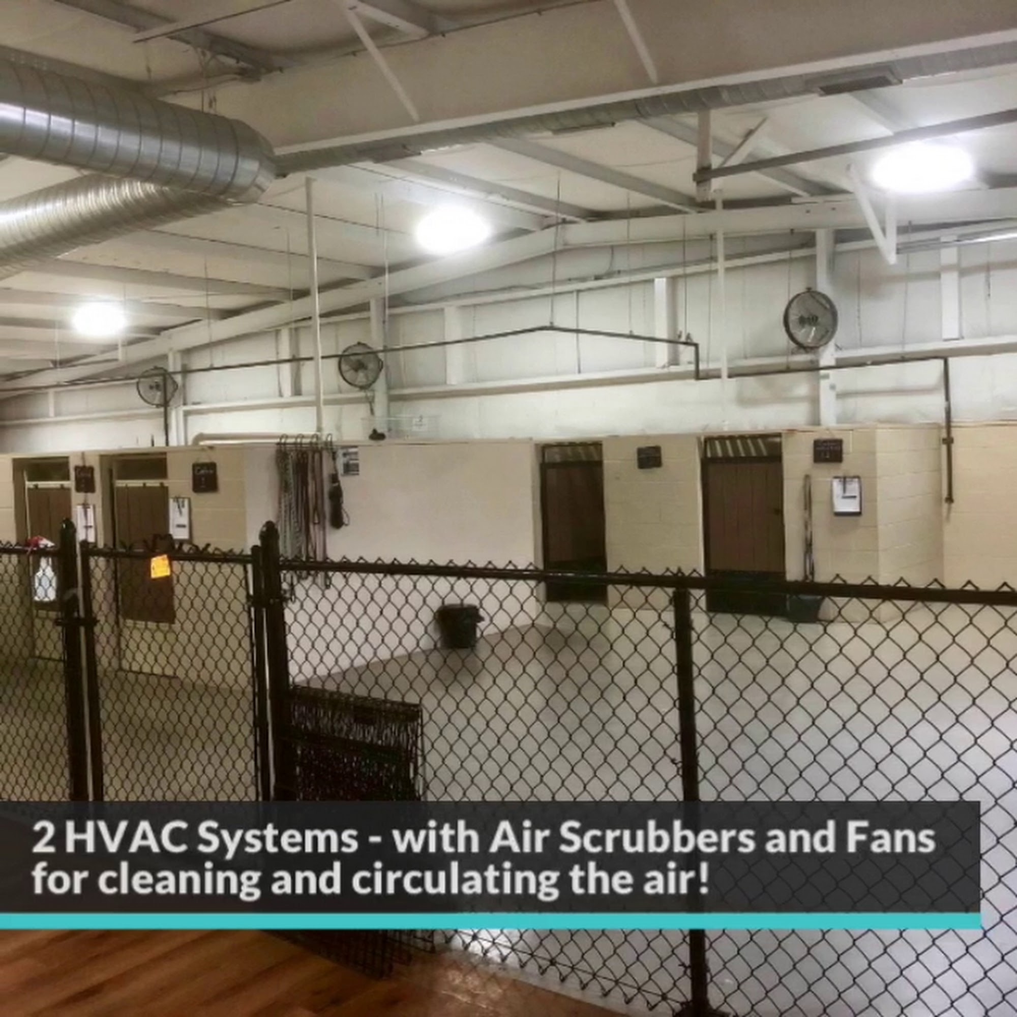 Medlin Pet Company Sullivan