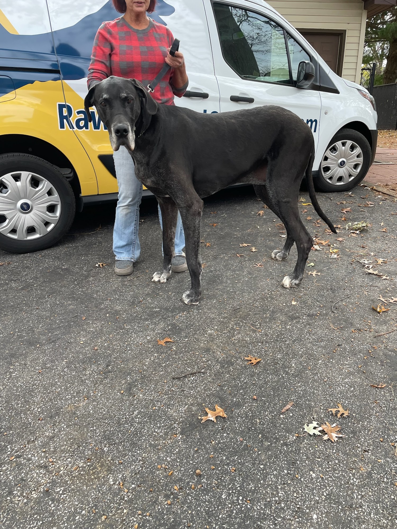 Raw Dog Food Complete Sullivan