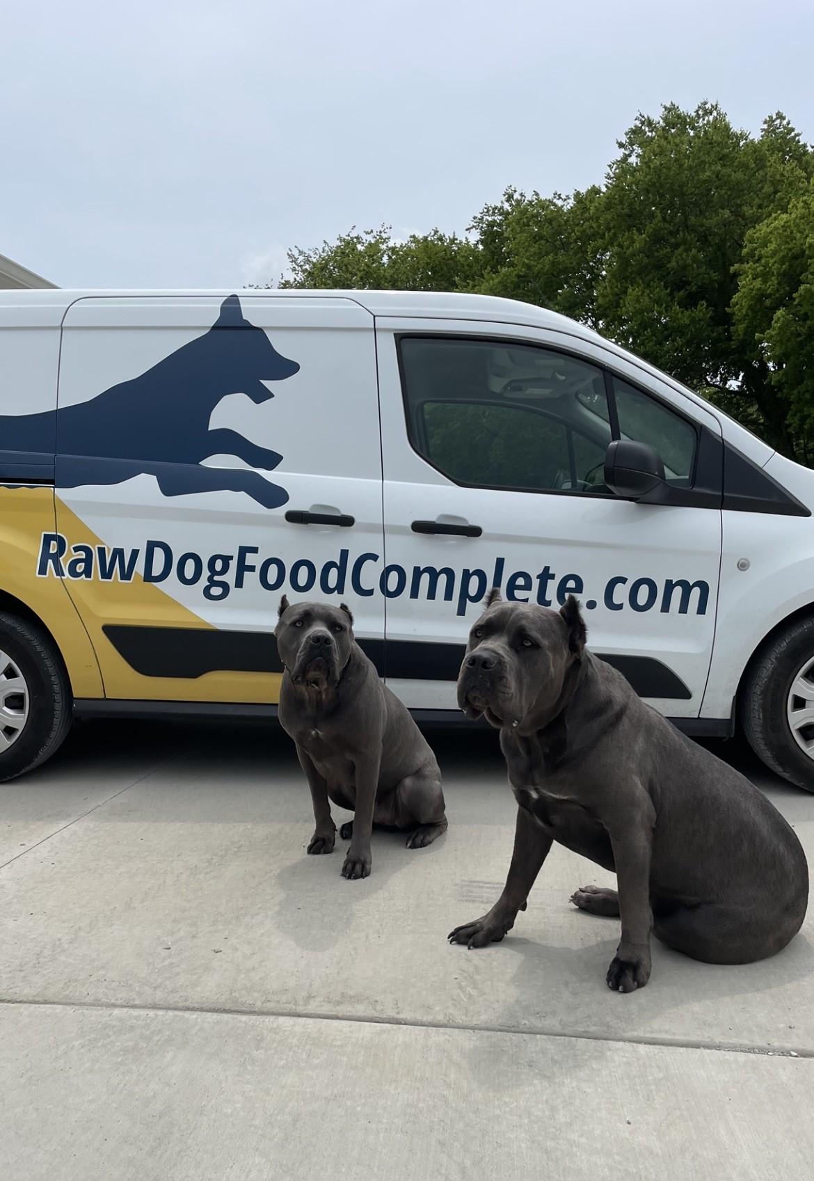 Raw Dog Food Complete Sullivan