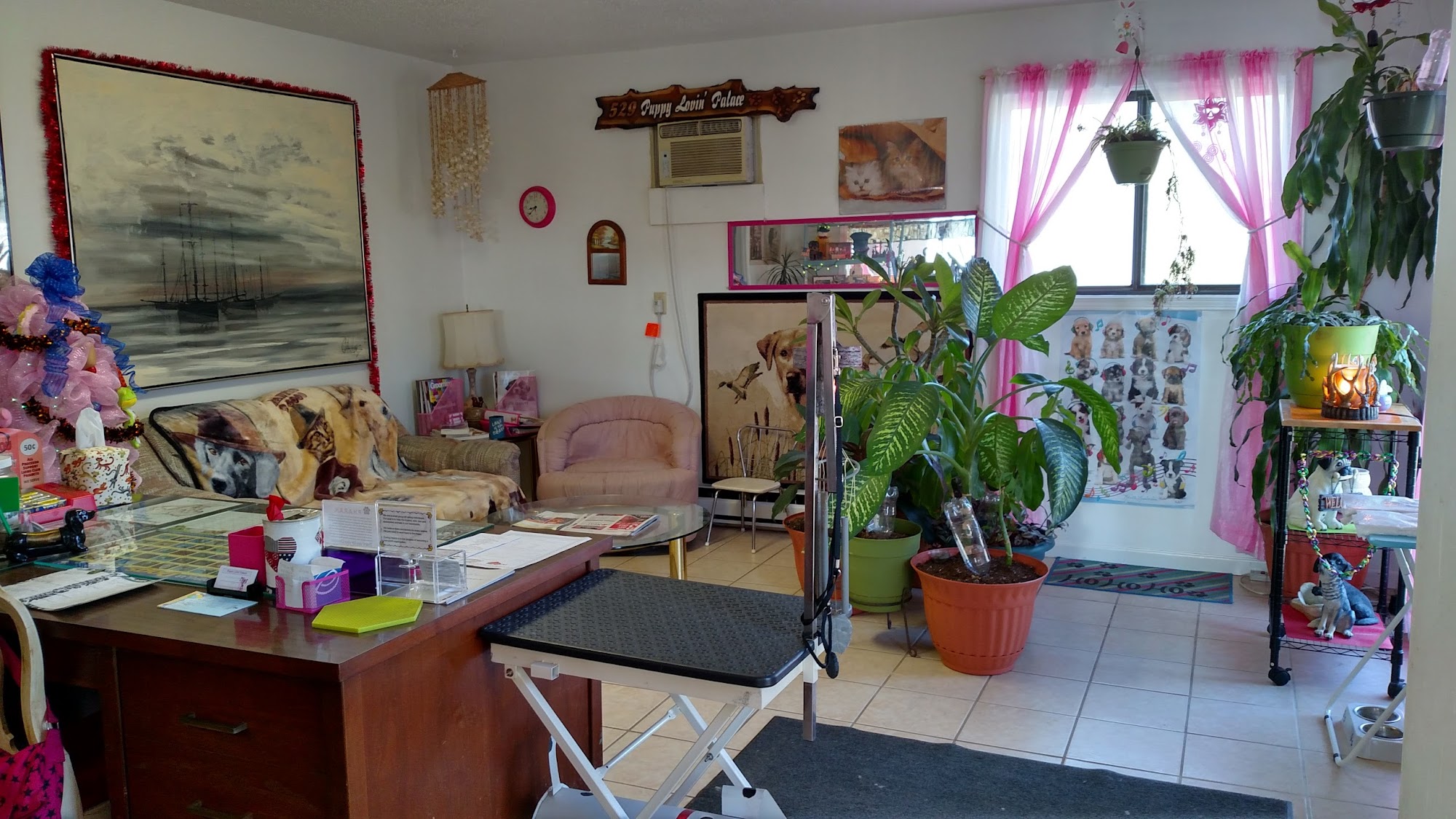 Puppy Lovin' Palace Sunrise Beach