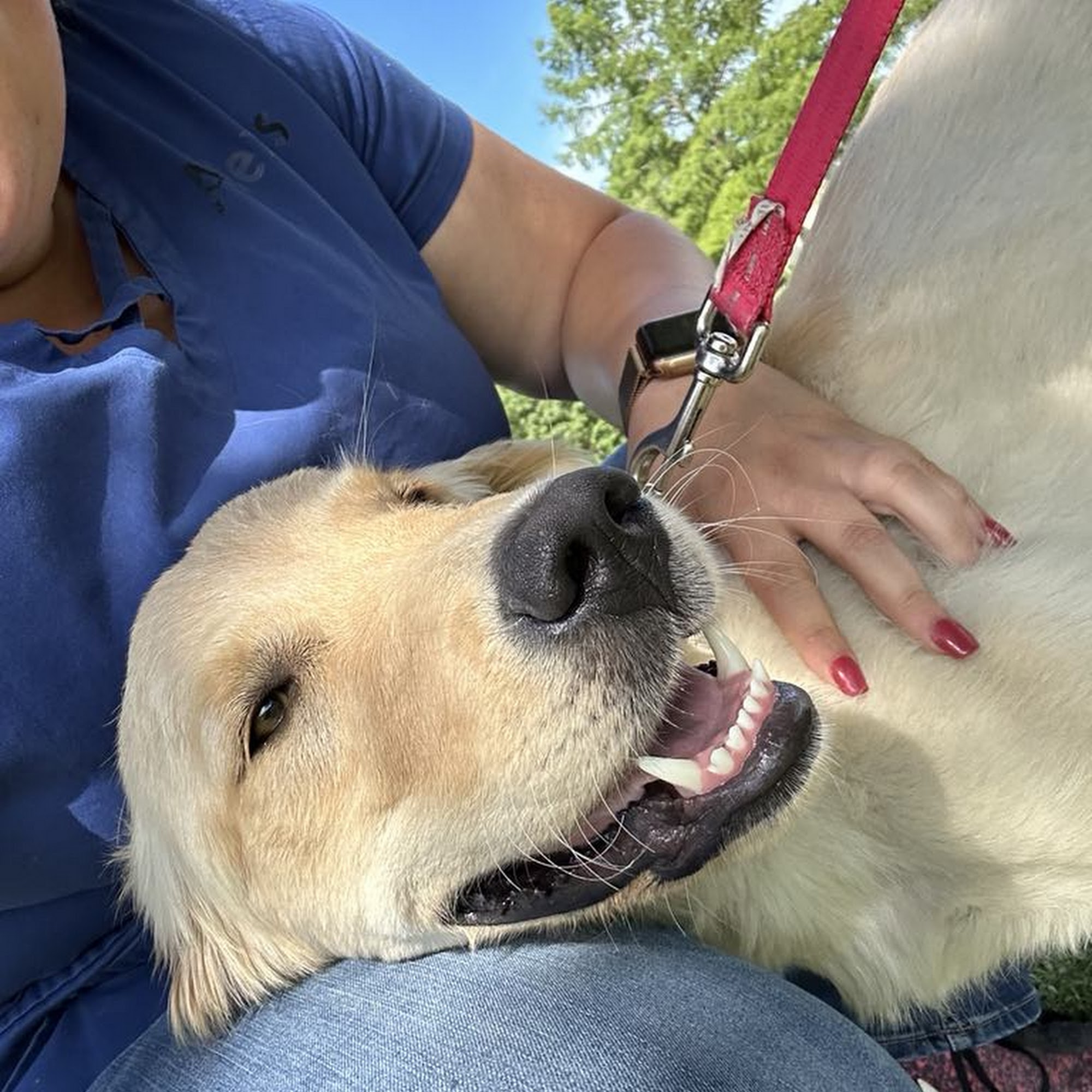 Affordable Vet Care Trenton