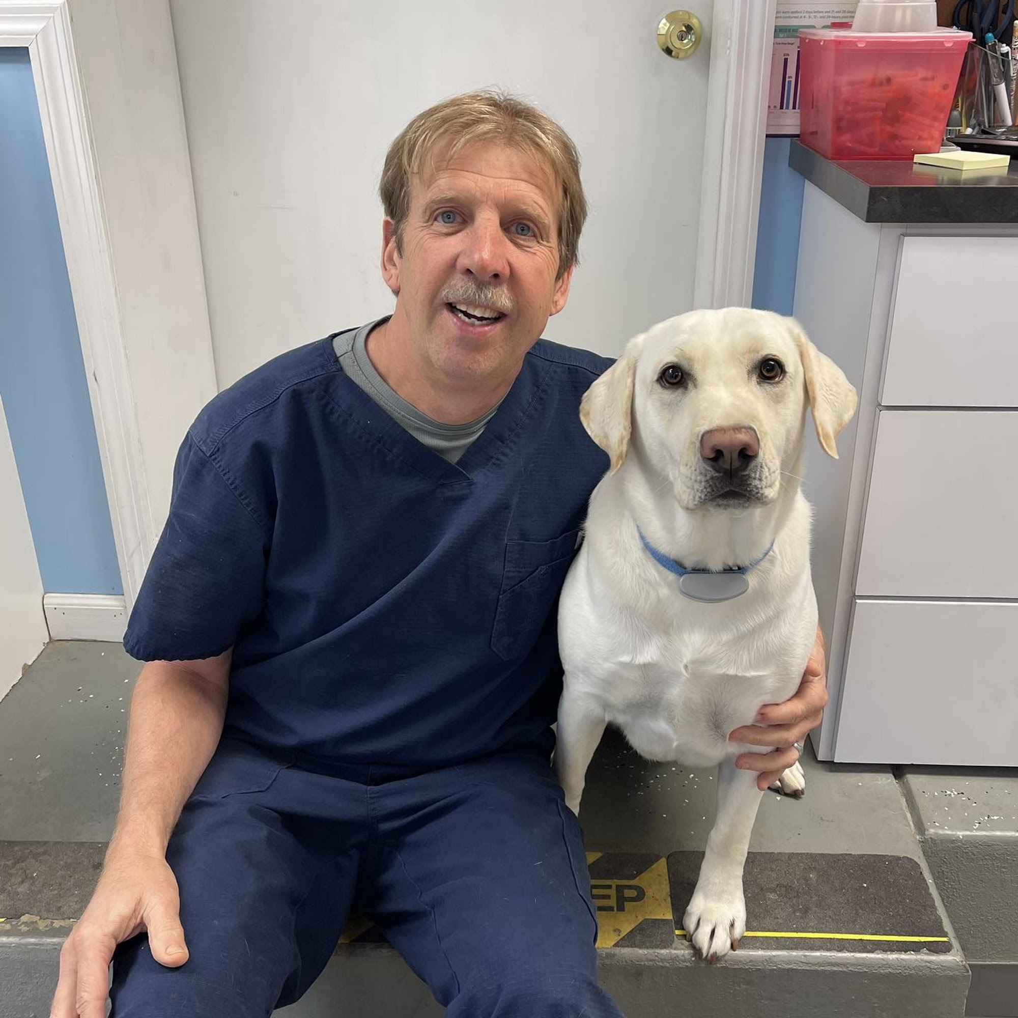 Falls Veterinary Care Troy