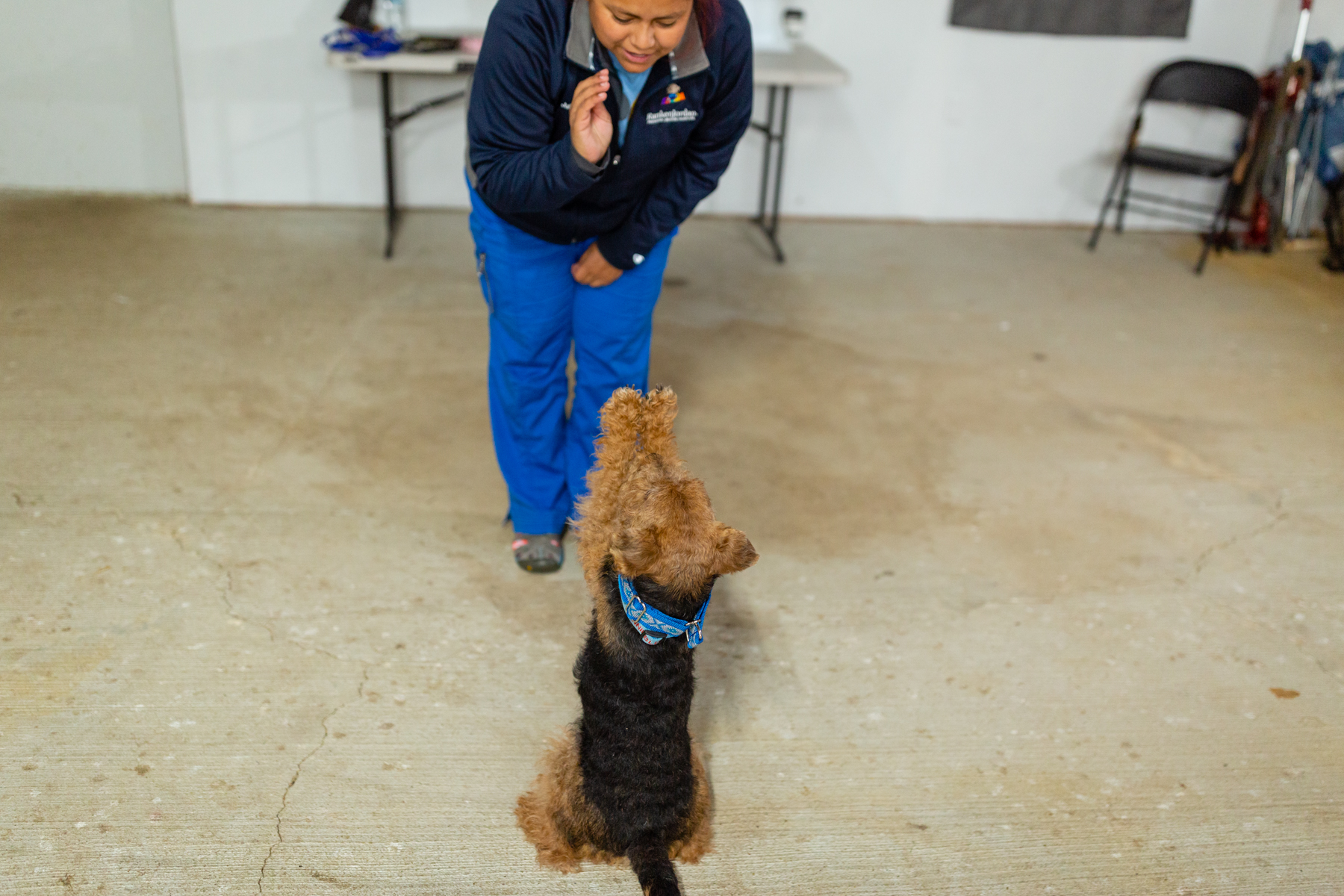 Ready Sit Go Dog Training Troy