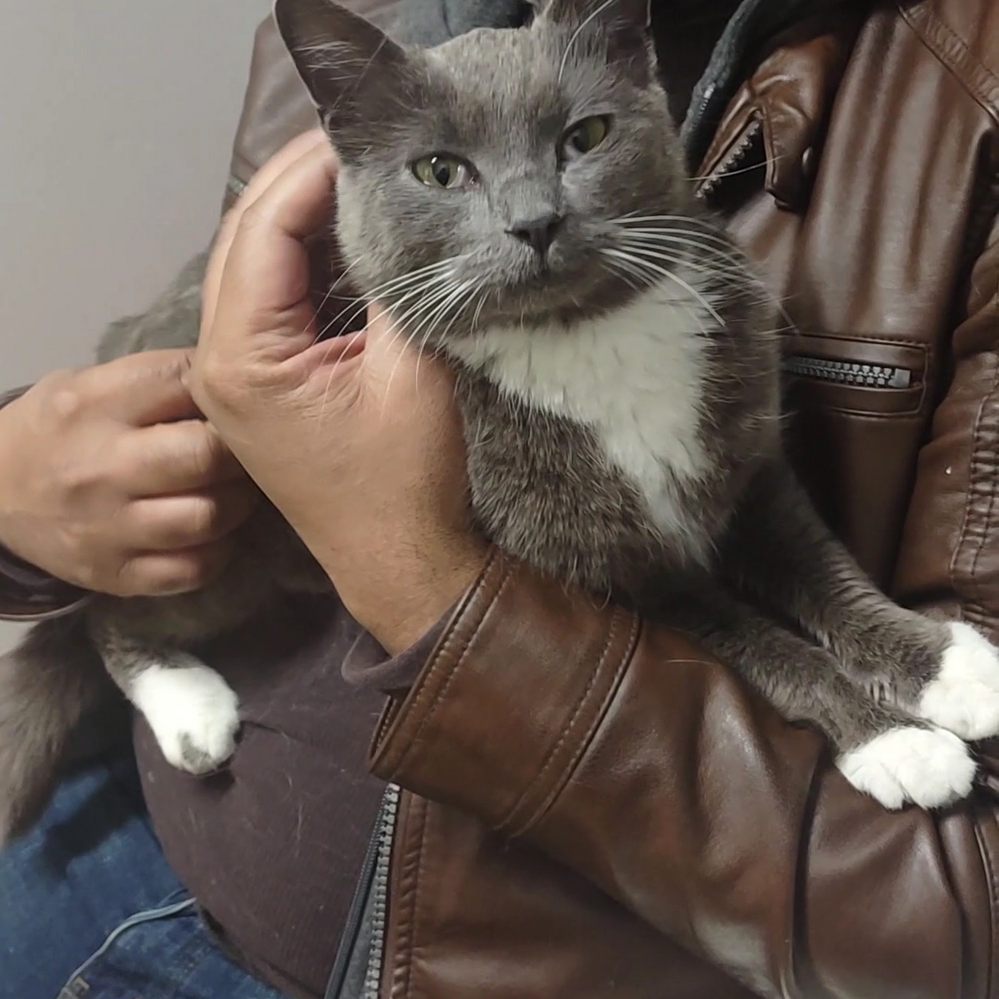 Franklin County Humane Society of Missouri Union