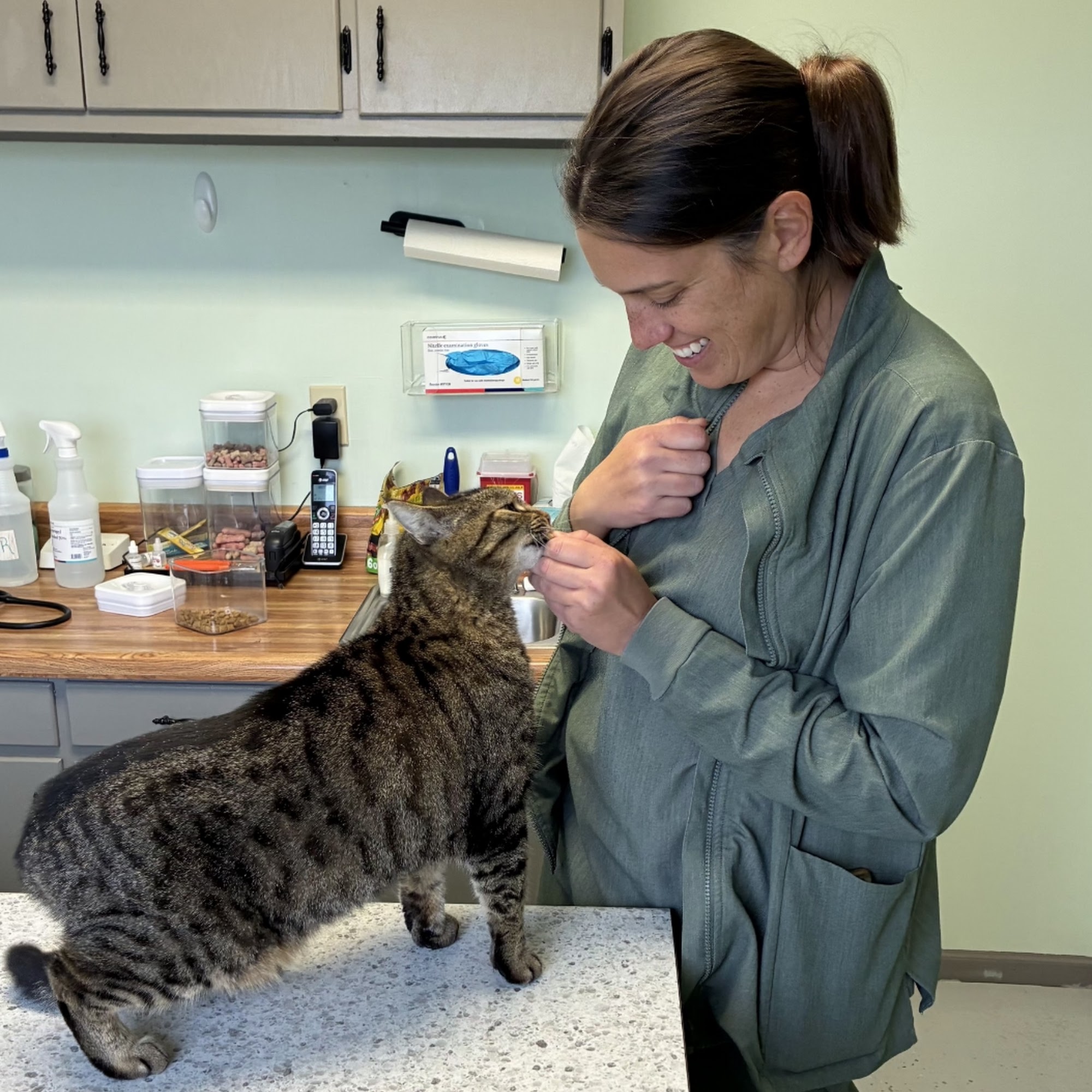Putnam County Veterinary Clinic 16840 MO-5, Unionville Missouri 63565