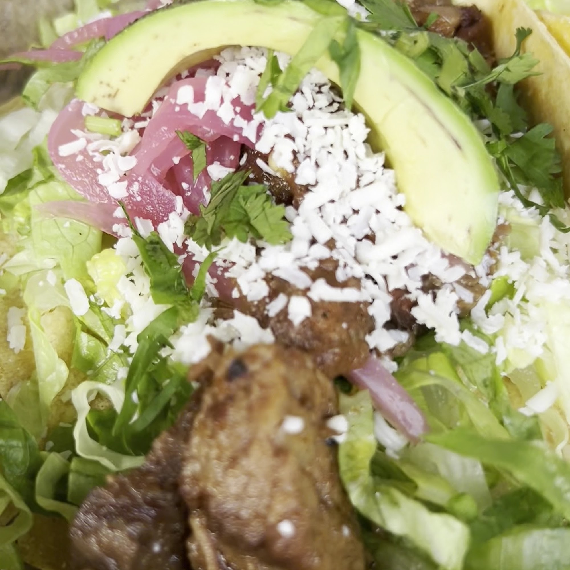 Taco Buddha University City